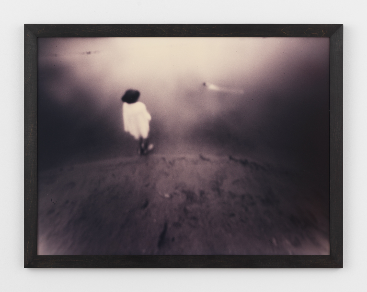 Barbara Ess, Untitled (“Food for the Moon” series), 1986, C-print photograph mounted on board and laminated, 30w x 40h in.