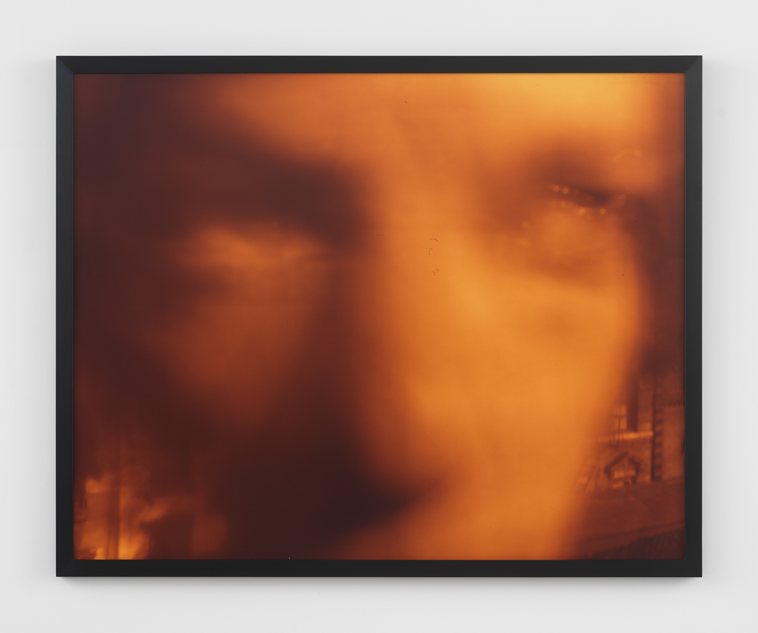 Barbara Ess, Head, 1991, C-print photograph mounted on board and laminated, 52 1/2h x 65 1/8w in.
