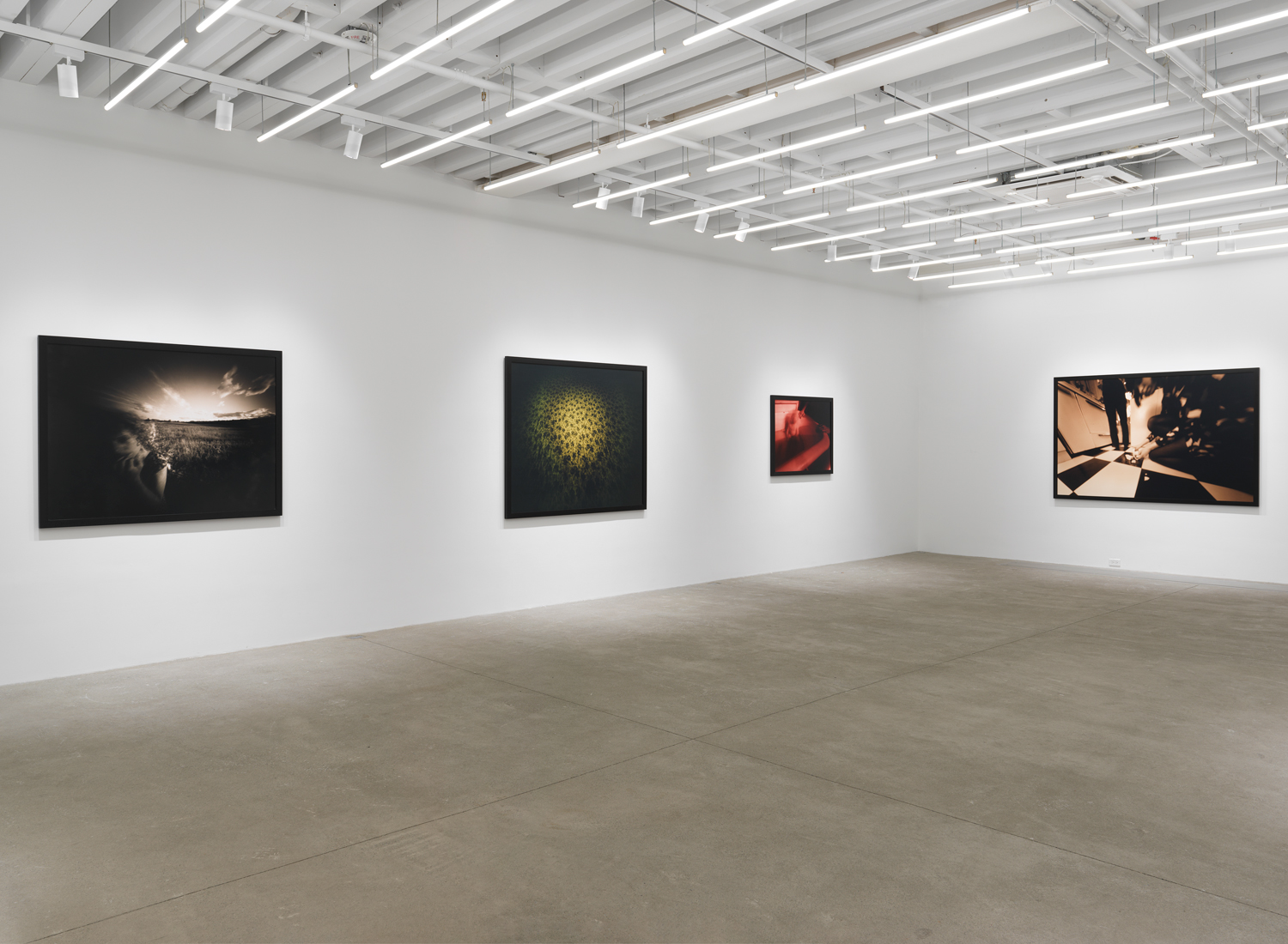 Installation view, Barbara Ess: Inside Out, Magenta Plains, New York, NY, 2023