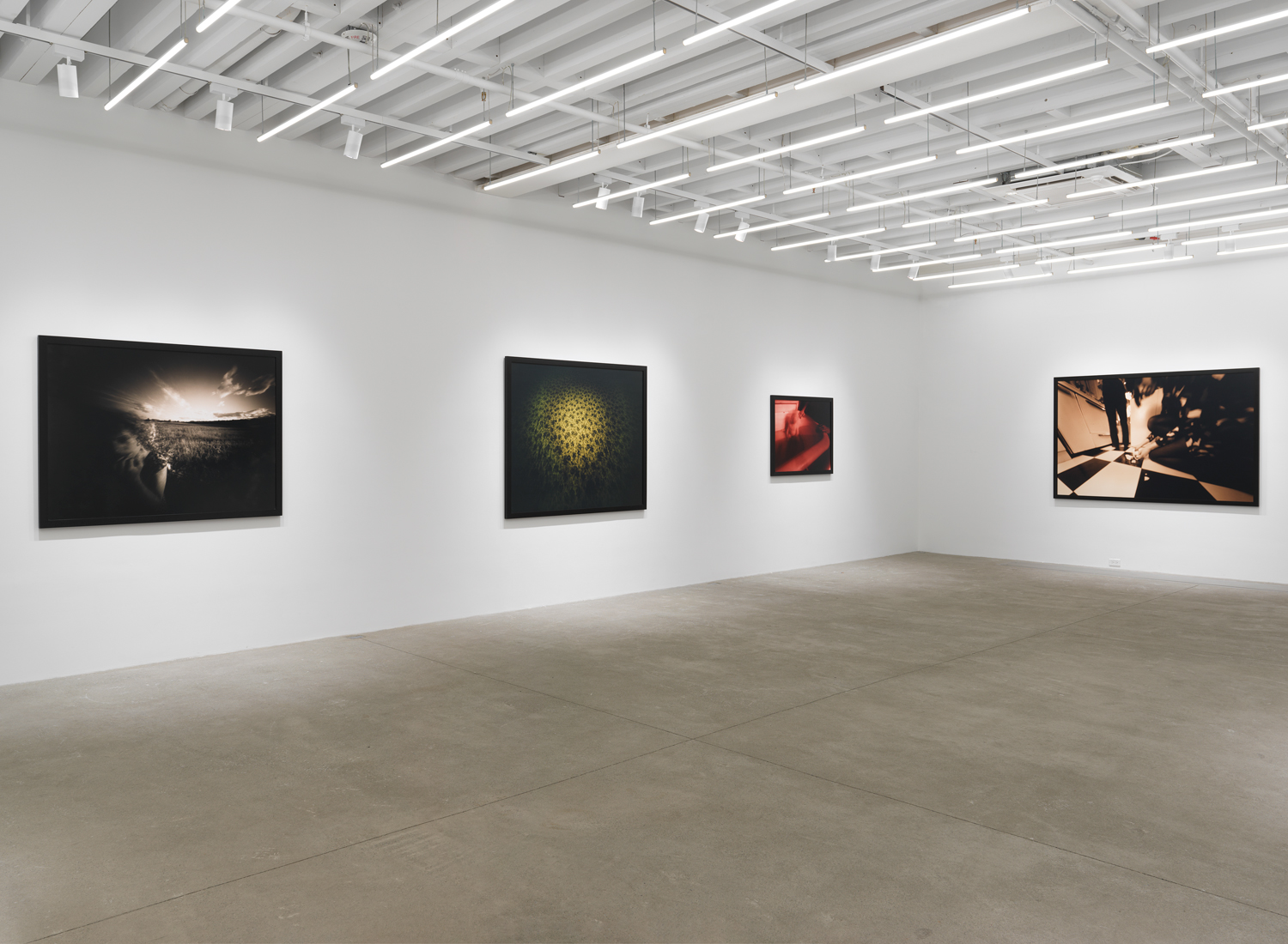 Installation view, Barbara Ess: Inside Out, Magenta Plains, New York, NY 2023.