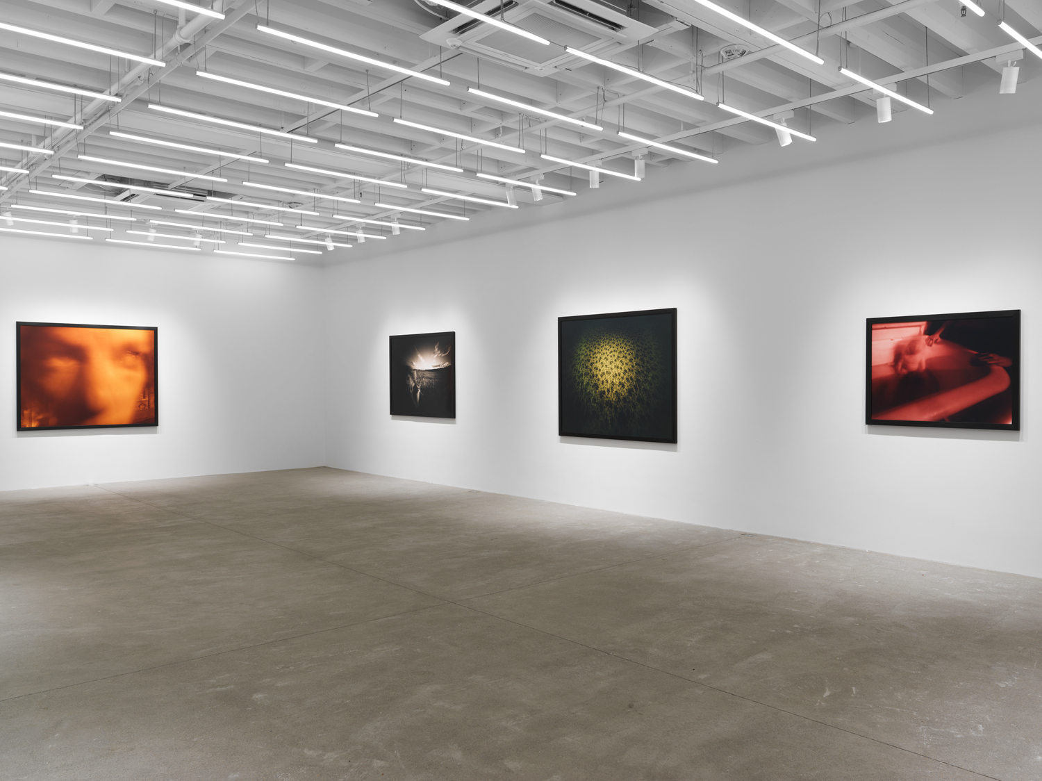 Installation view, Barbara Ess: Inside Out, Magenta Plains, New York, NY, 2023