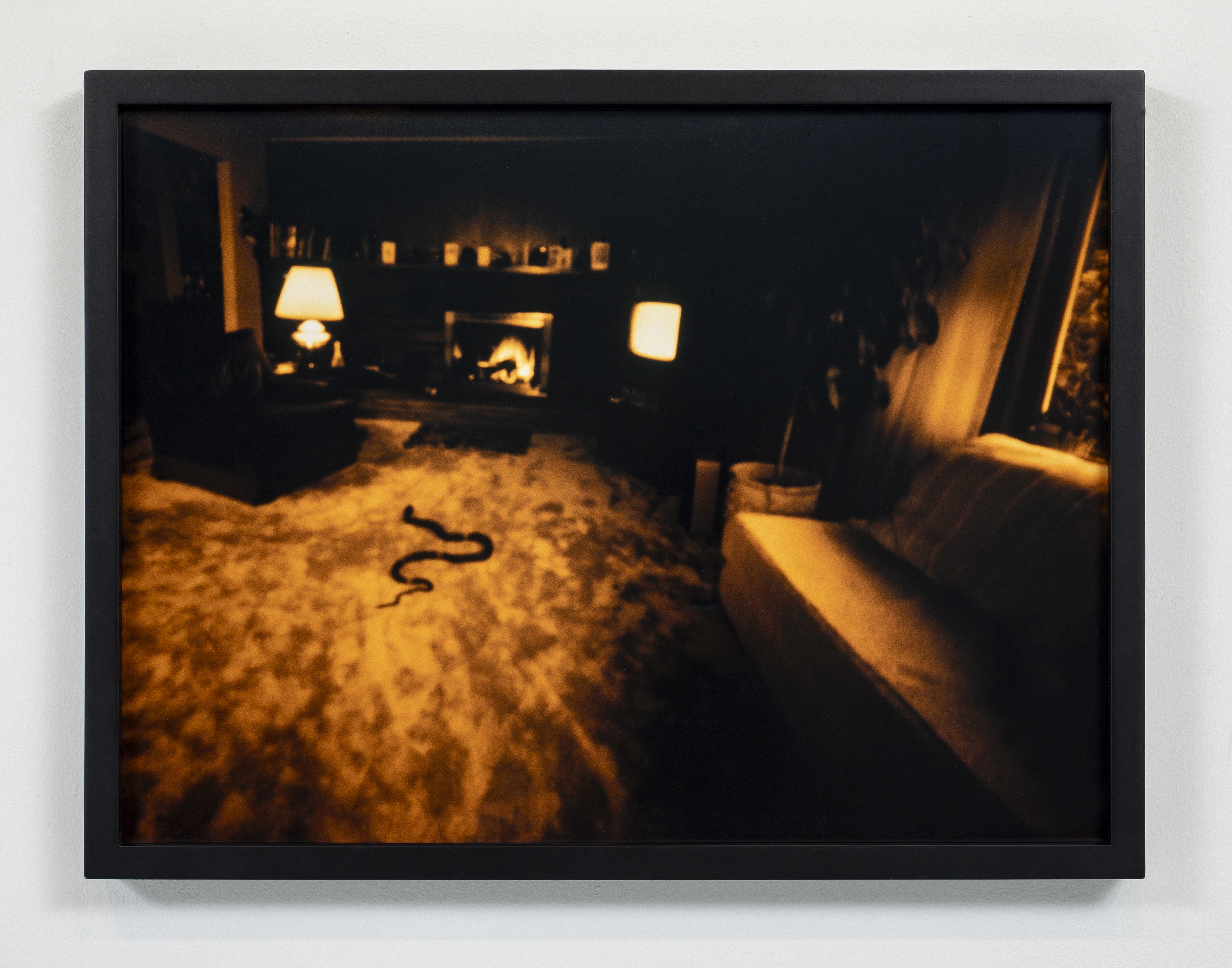 Barbara Ess, No title (snake in living room), 2017, Archival inkjet print, 18 x 24 in.