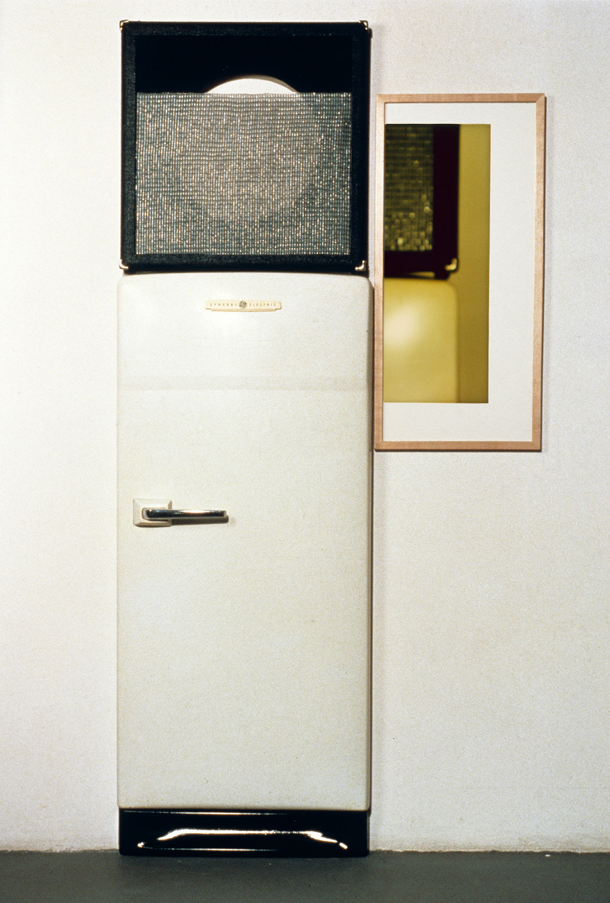 Jennifer Bolande, Conjunction Assemblage, 1988, refrigerator door, speaker facing, speaker cloth, framed color photograph, 75.5 x 30 x 5.5 in.