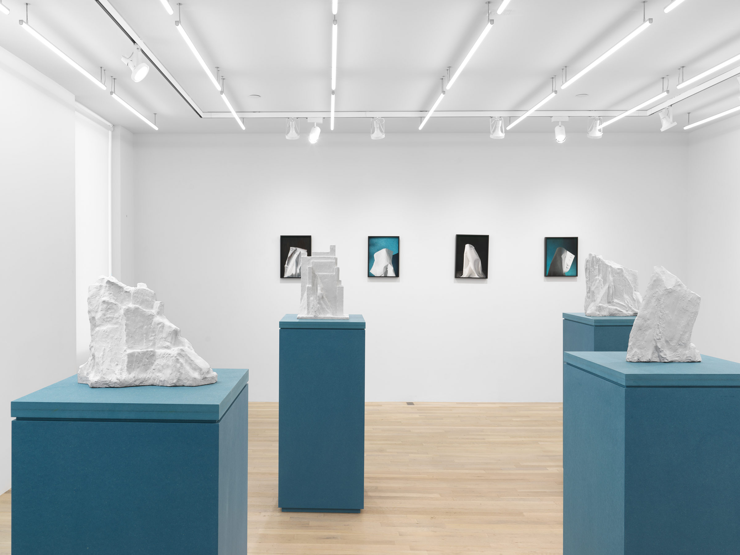 Installation view, Jennifer Bolande: Persistence of Vision, Magenta Plains, New York, NY 2023.