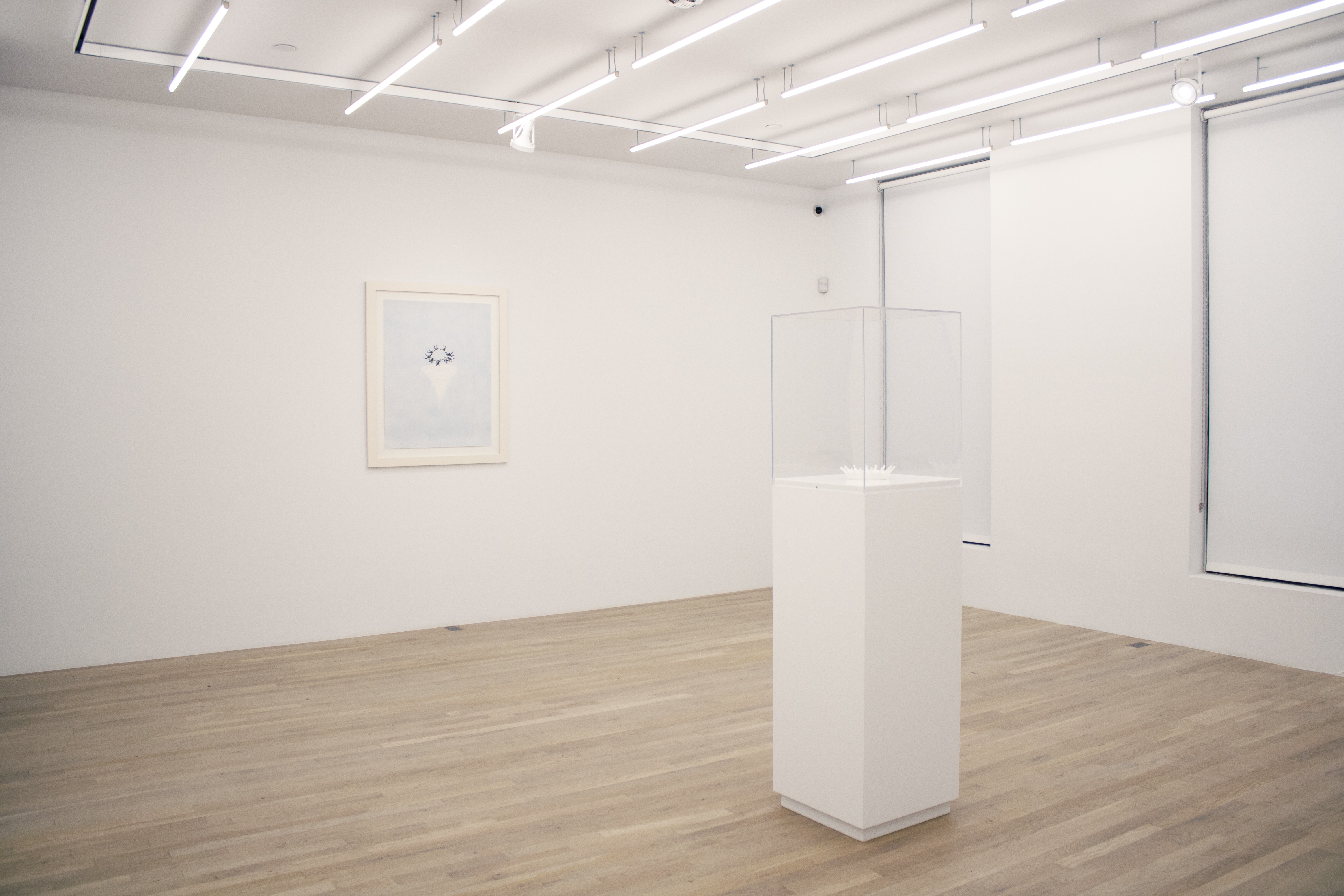 Installation view, Viewing Room II: Zach Bruder, Magenta Plains, New York, 2025