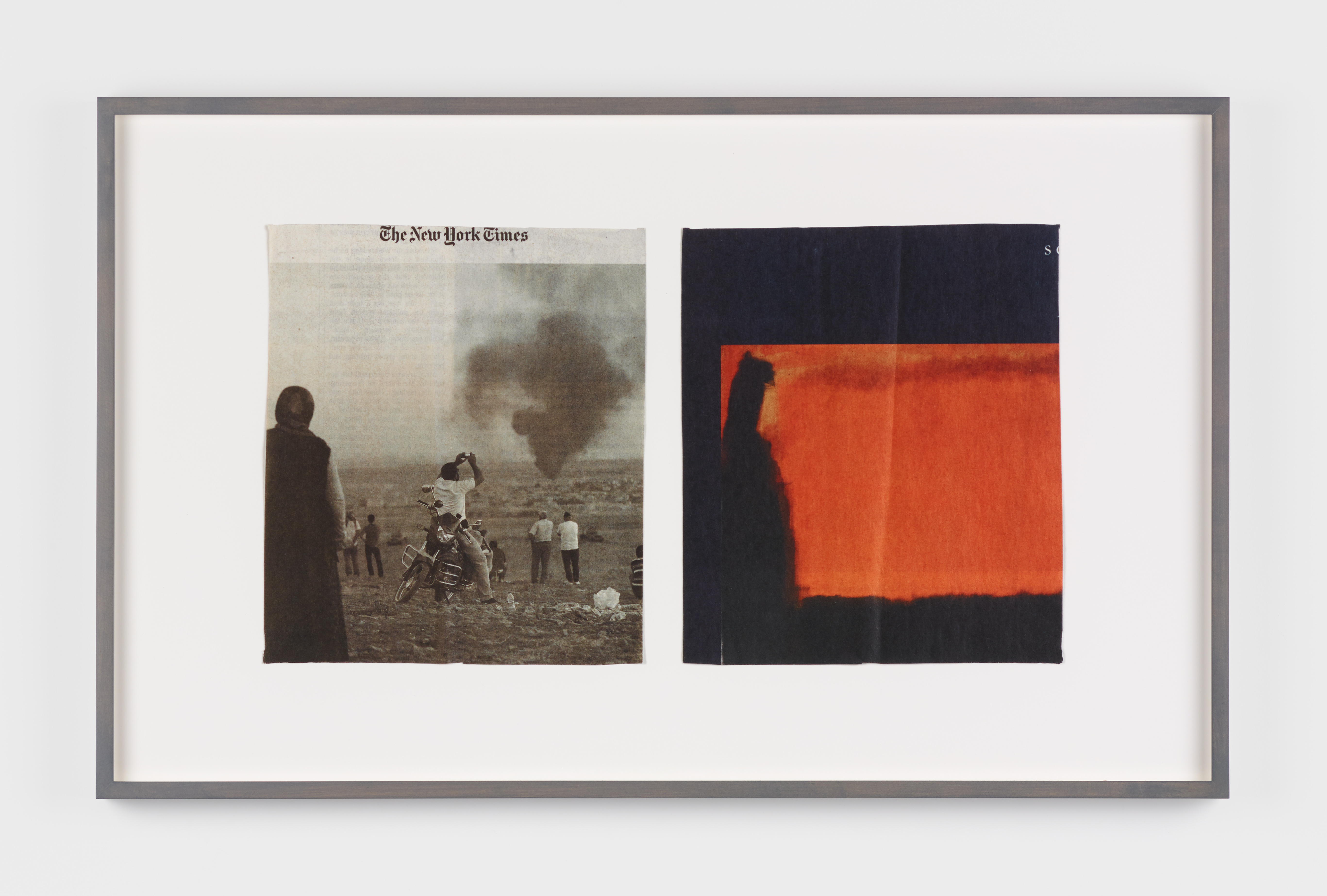 Jennifer Bolande, Composition of Decomposition No.257, 2016-2017, Archival Pigment Print, 19.75h x 32w in.