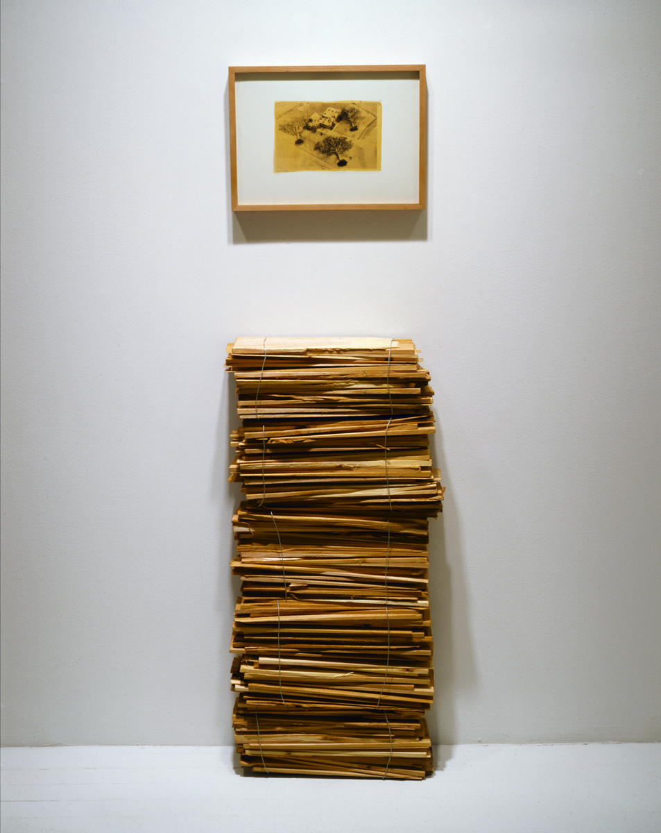 Jennifer Bolande, Stack of Shims (with wire photo),  1987, cedar shims, wire, steel, framed type C print of news clipping, 65h x 18w x 7d in.
