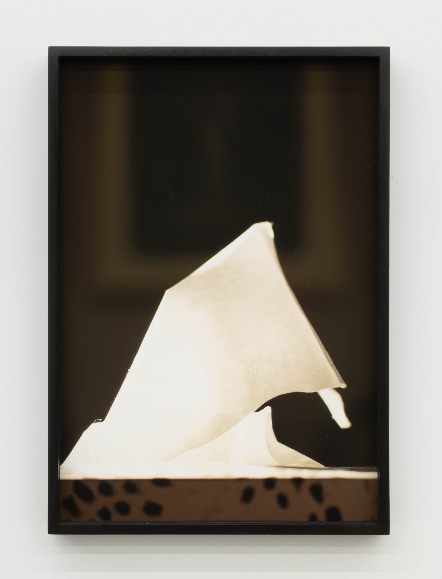 Jennifer Bolande, Monolith 7, 2023, Archival pigment print, 17 x 13 x 1.5 in.