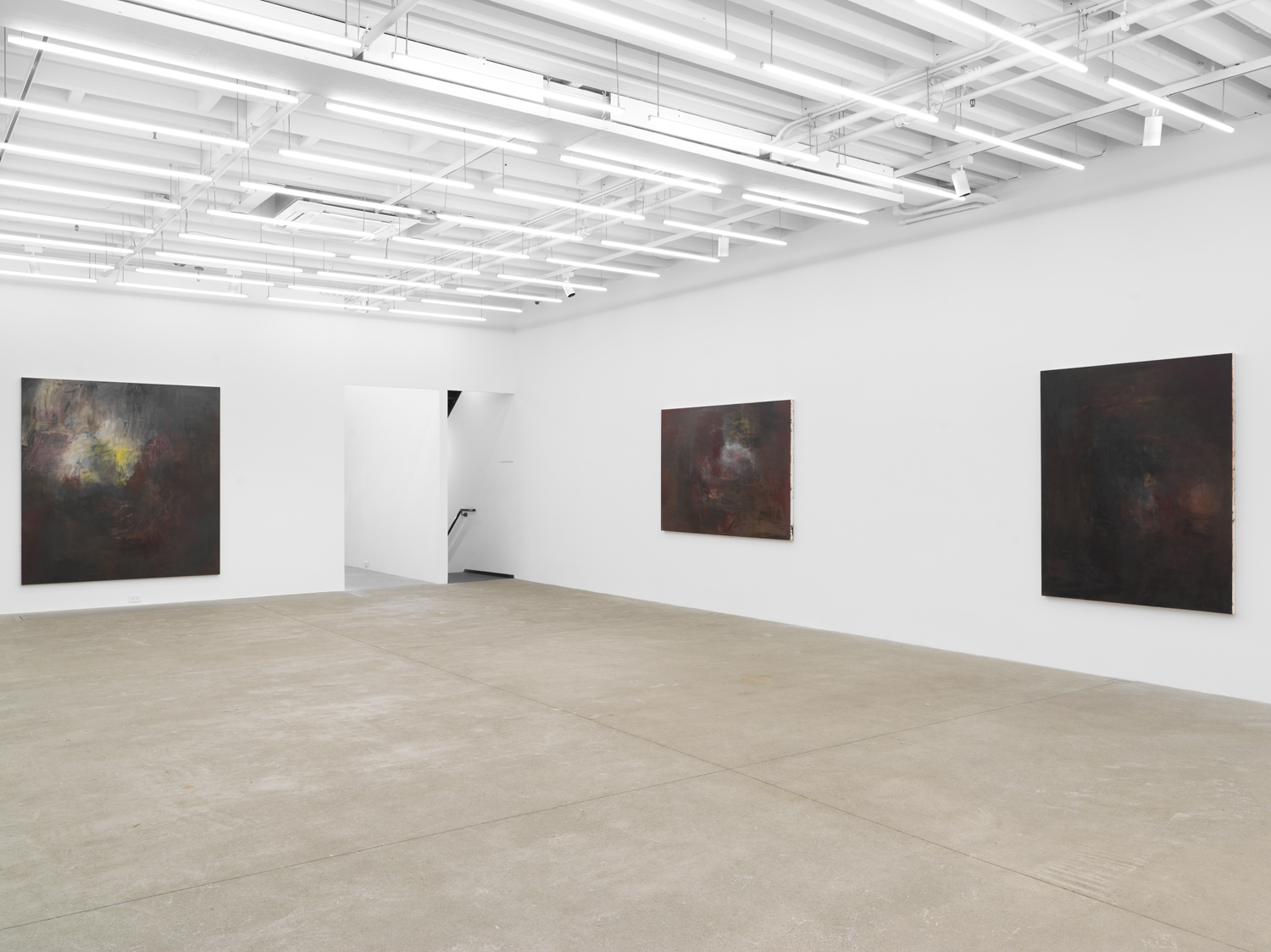 Installation view, Liza Lacroix: our arrangement our arrangement our arrangement, Magenta Plains, New York, NY 2024.
