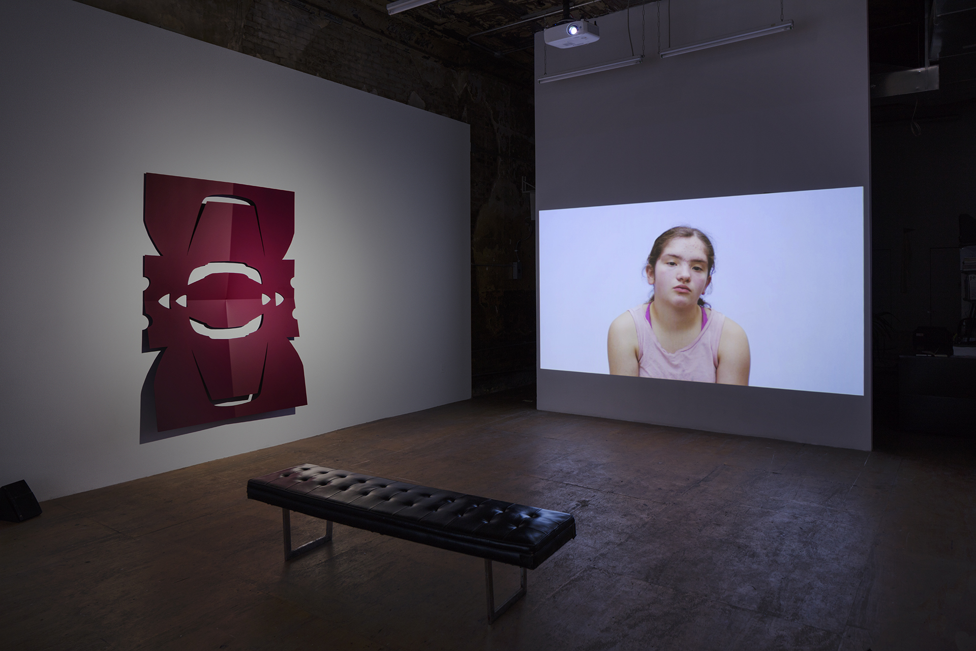 Installation view, Generation, Participant Inc., New York, NY, 2017