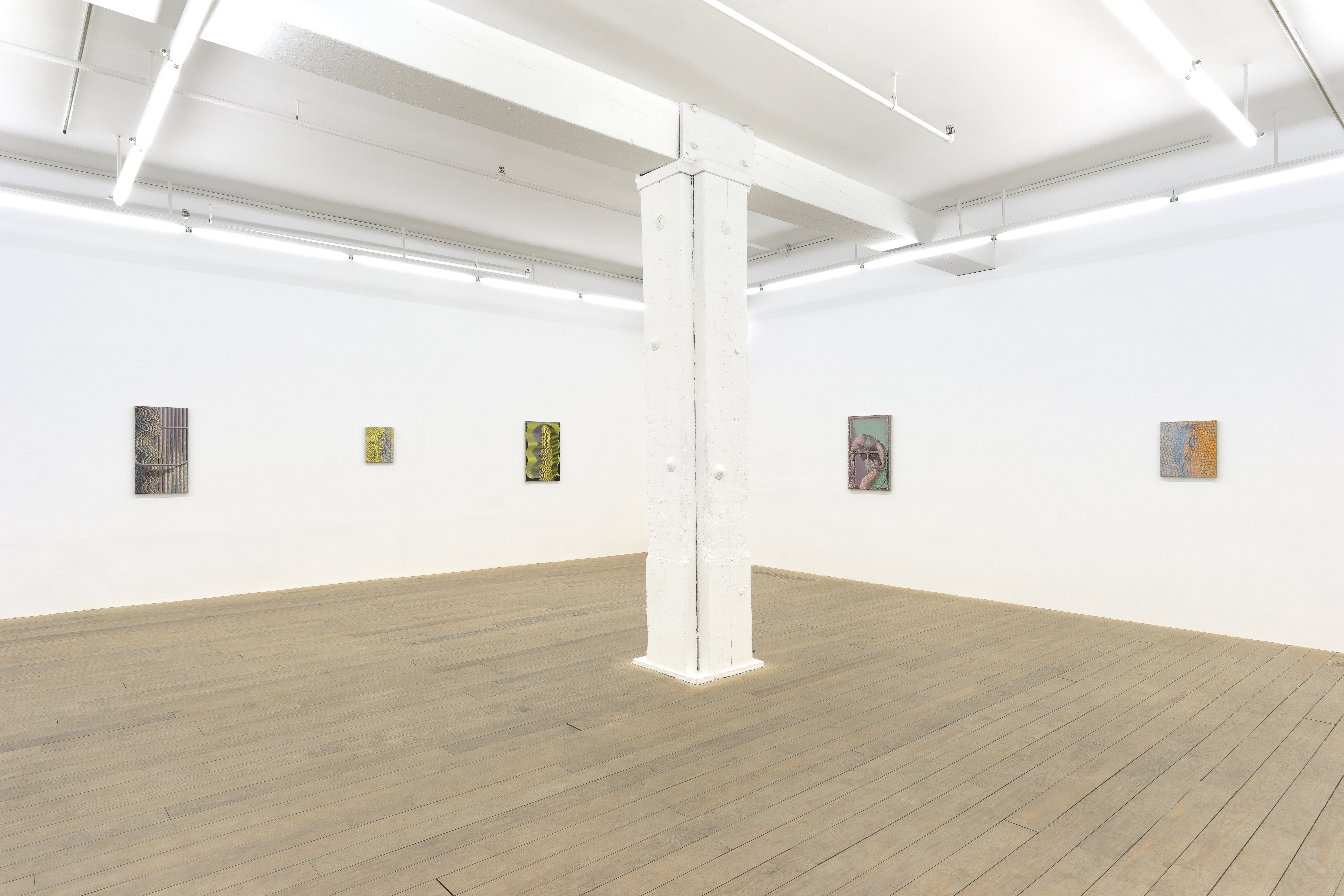 Installation view, Sascha Braunig, Foxy Production, New York, NY, 2015