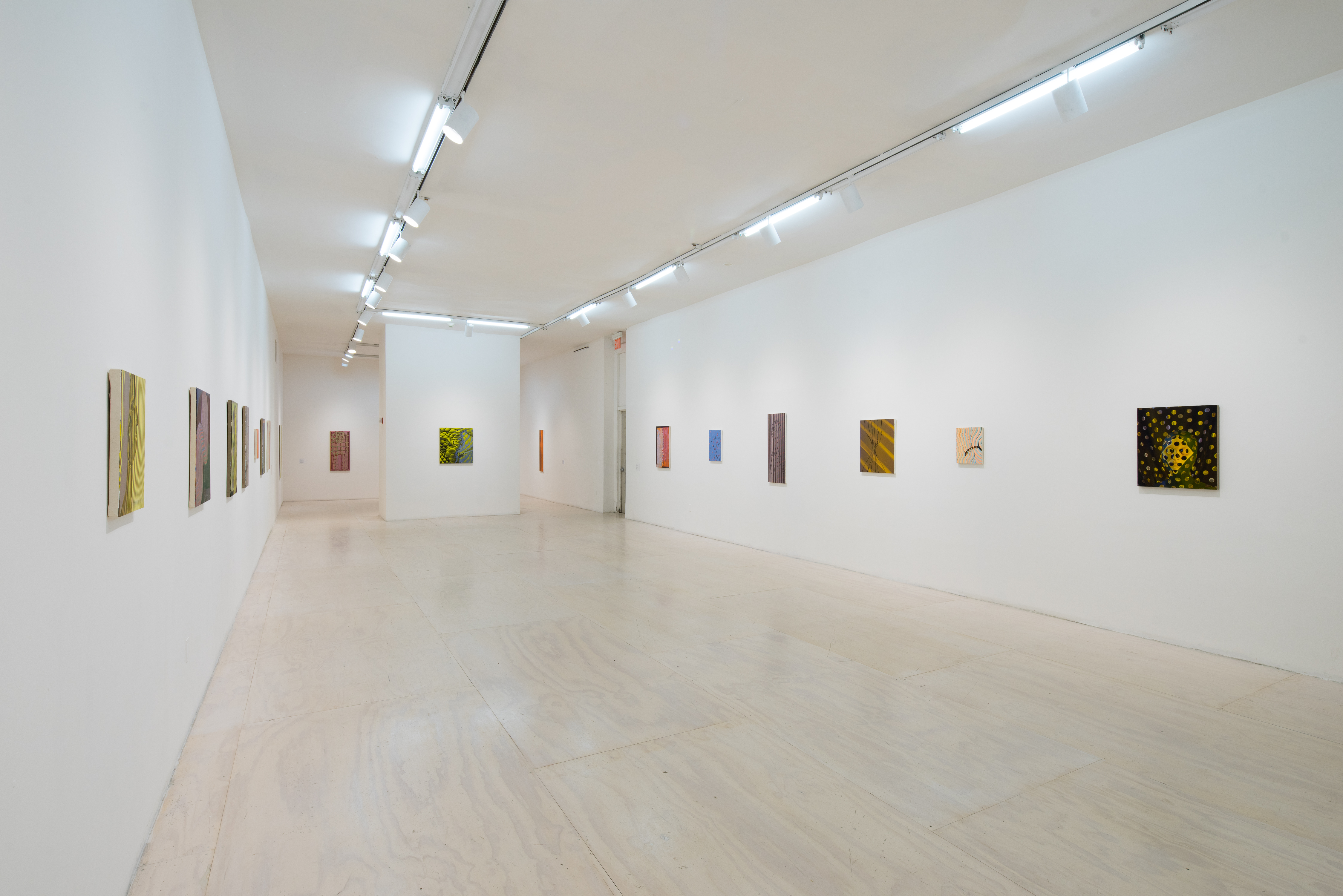 Installation view, Shivers, PS1, Queens, NY, 2016–2017