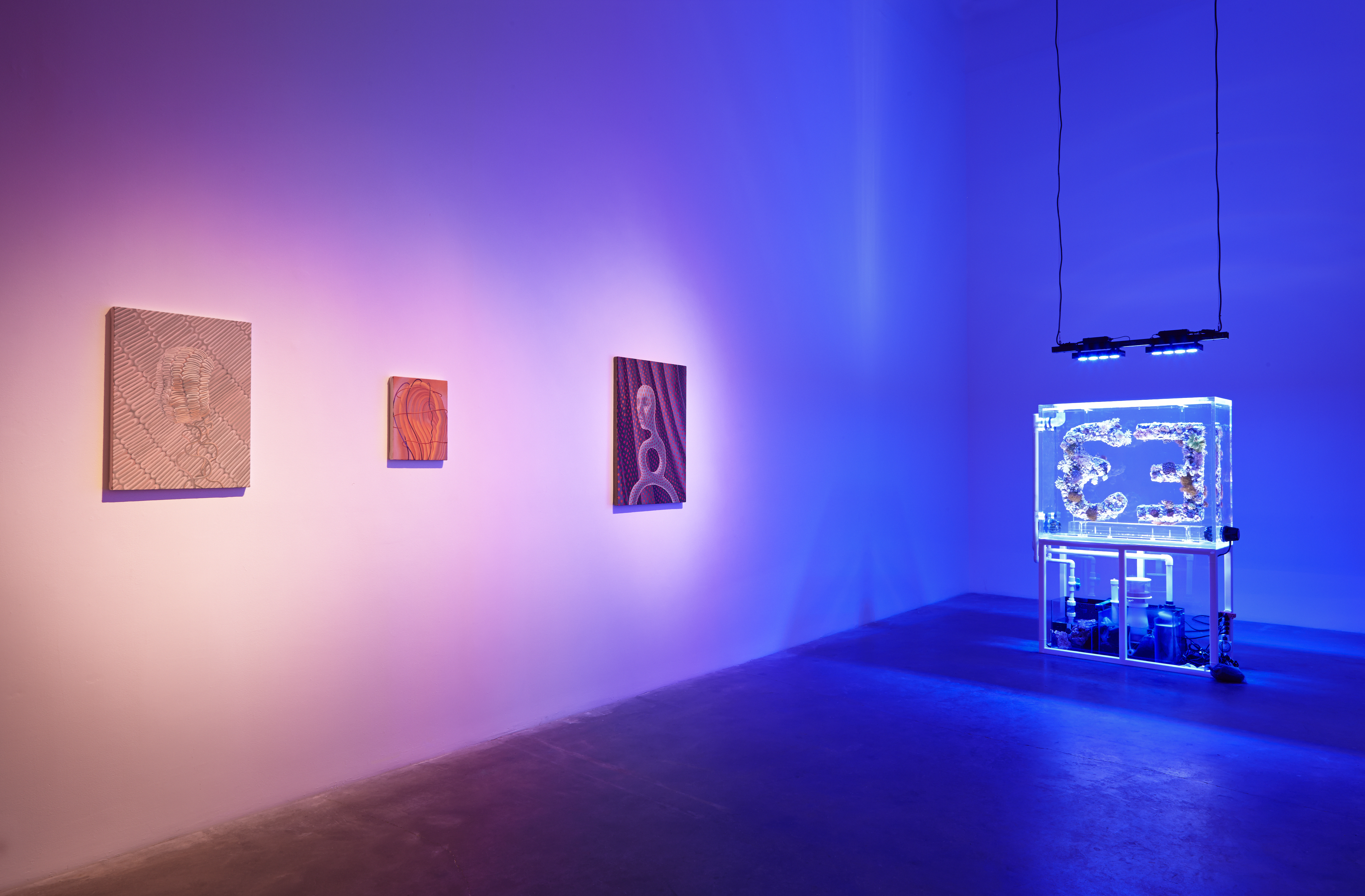Installation view, Surround Audience, Curated by Lauren Cornell and Ryan Trecartin, New Museum Triennial, New Museum, New York, NY, 2015