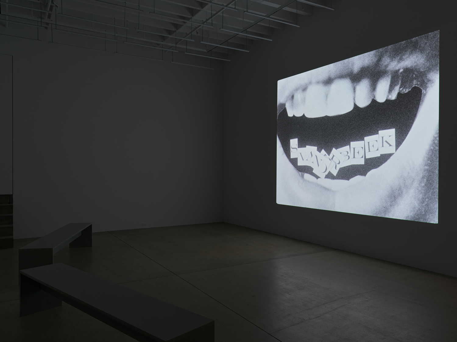 Installation view, Stan VanDerBeek: See Saw Seems, Magenta Plains, New York, NY, 2023