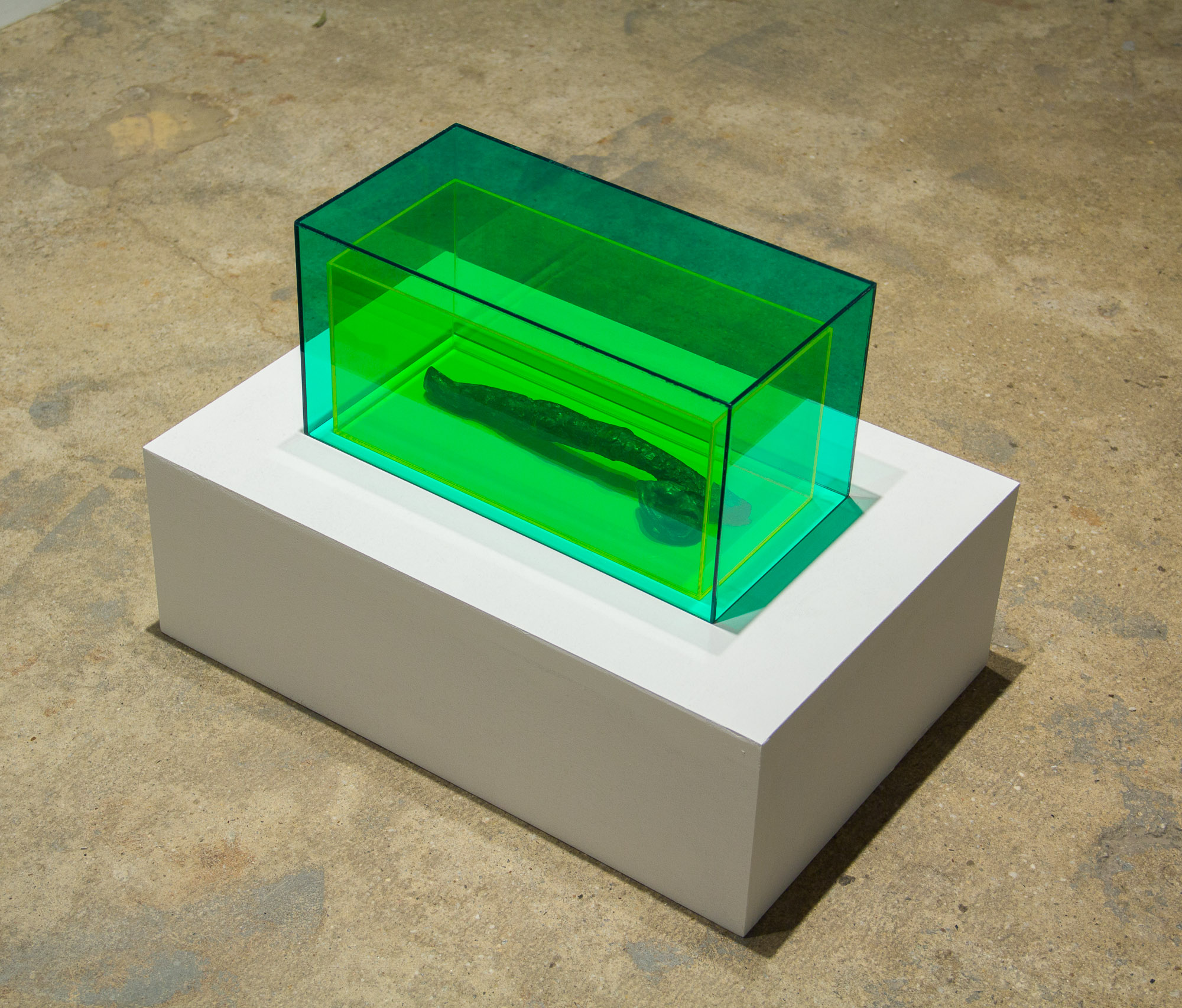 Brooke Hsu, ear stick, 2014-2019, bronze, urine, acrylic plexiglass, 6h x 12w x 6d in.