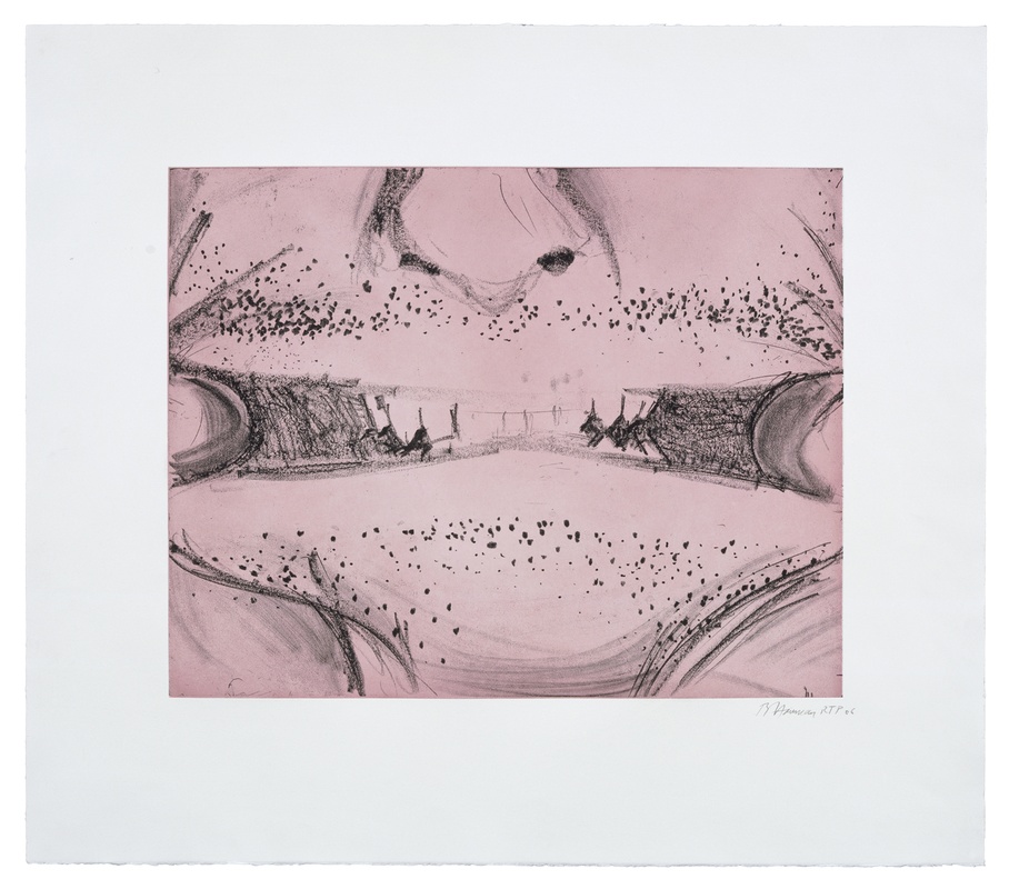 Bruce Nauman, Soft Ground Etching - Rose, 2007, 2-color etching, 29.75h x 34w in.