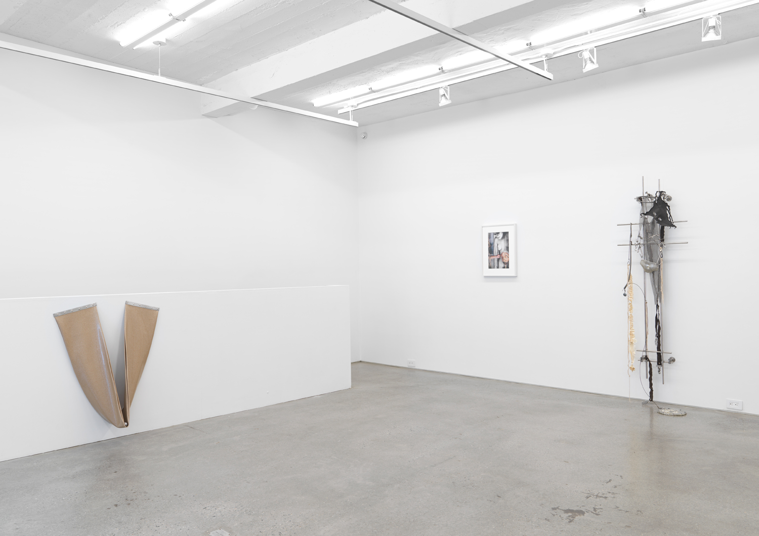Installation view, A Detached Hand, organized by Nicole Will, Magenta Plains, New York, NY, 2019