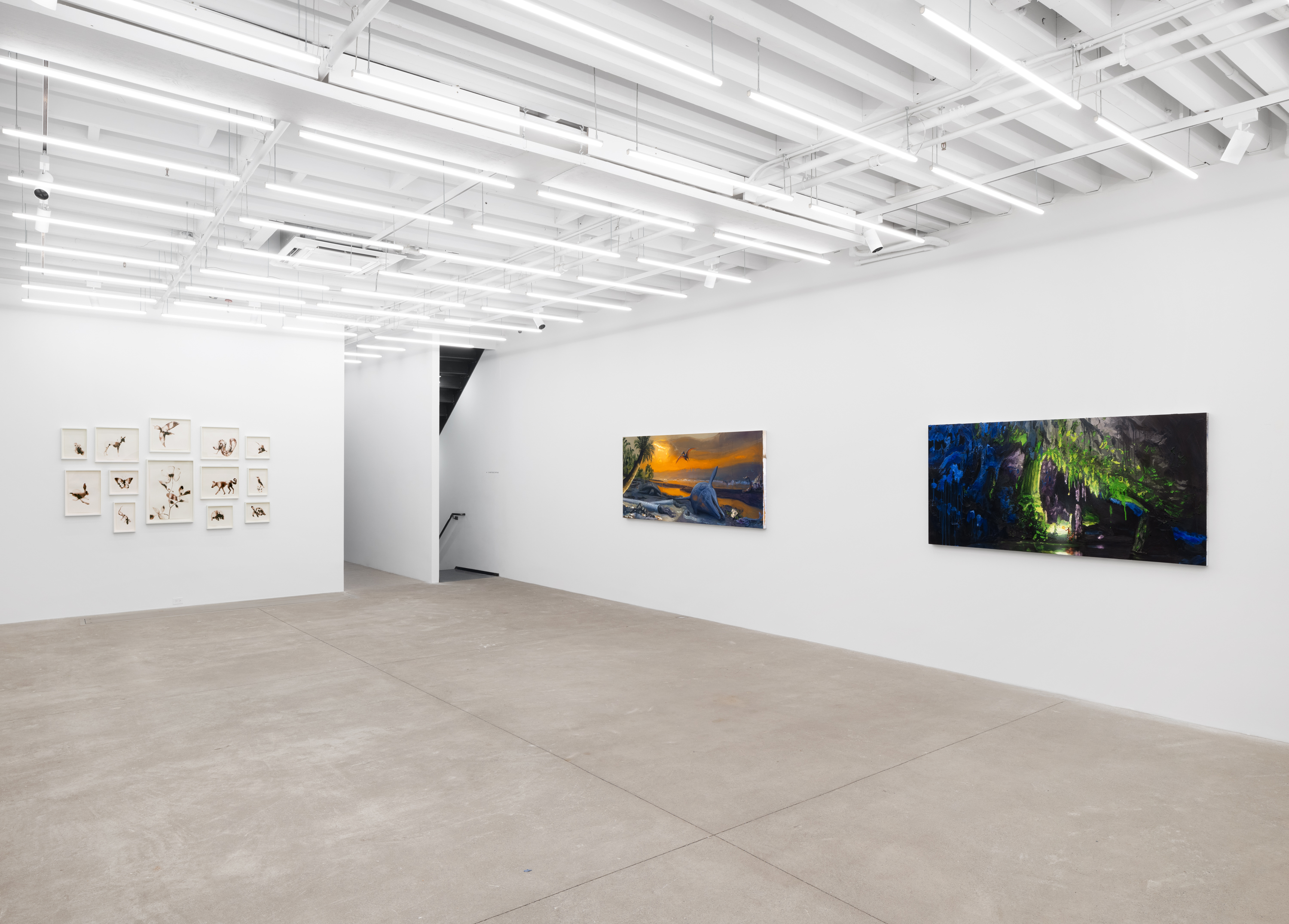 Installation view, Alexis Rockman: Naples: Course of Empire, Magenta Plains, New York, NY, 2024