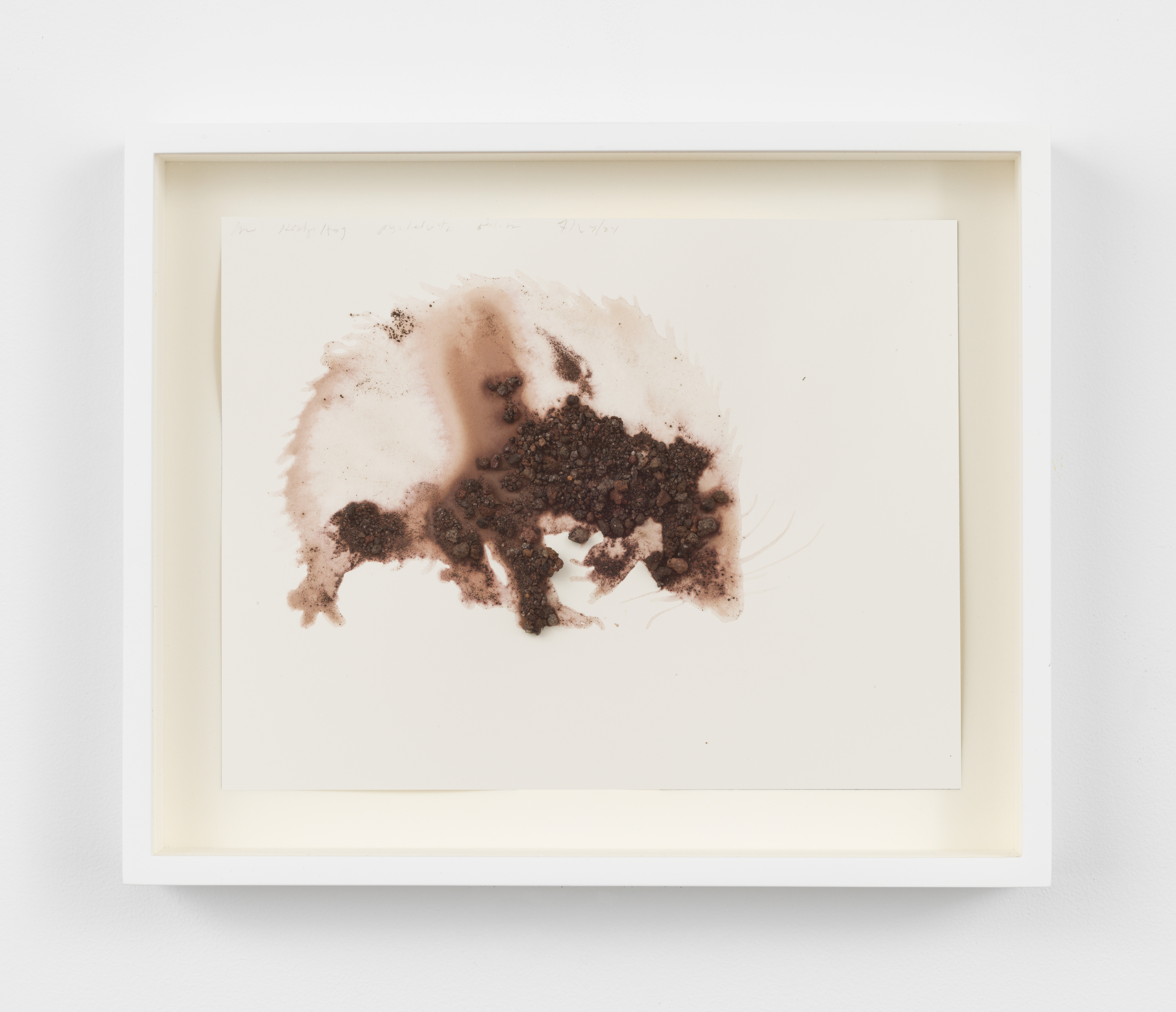 Alexis Rockman, Hedgehog, Erinaceus europaeus, 2024
Lava, molten rock and ash from Mt Vesuvius and acrylic polymer on paper, Unframed: 8 x 10 1/4 in., Framed: 10 1/2 x 12 1/2 in.