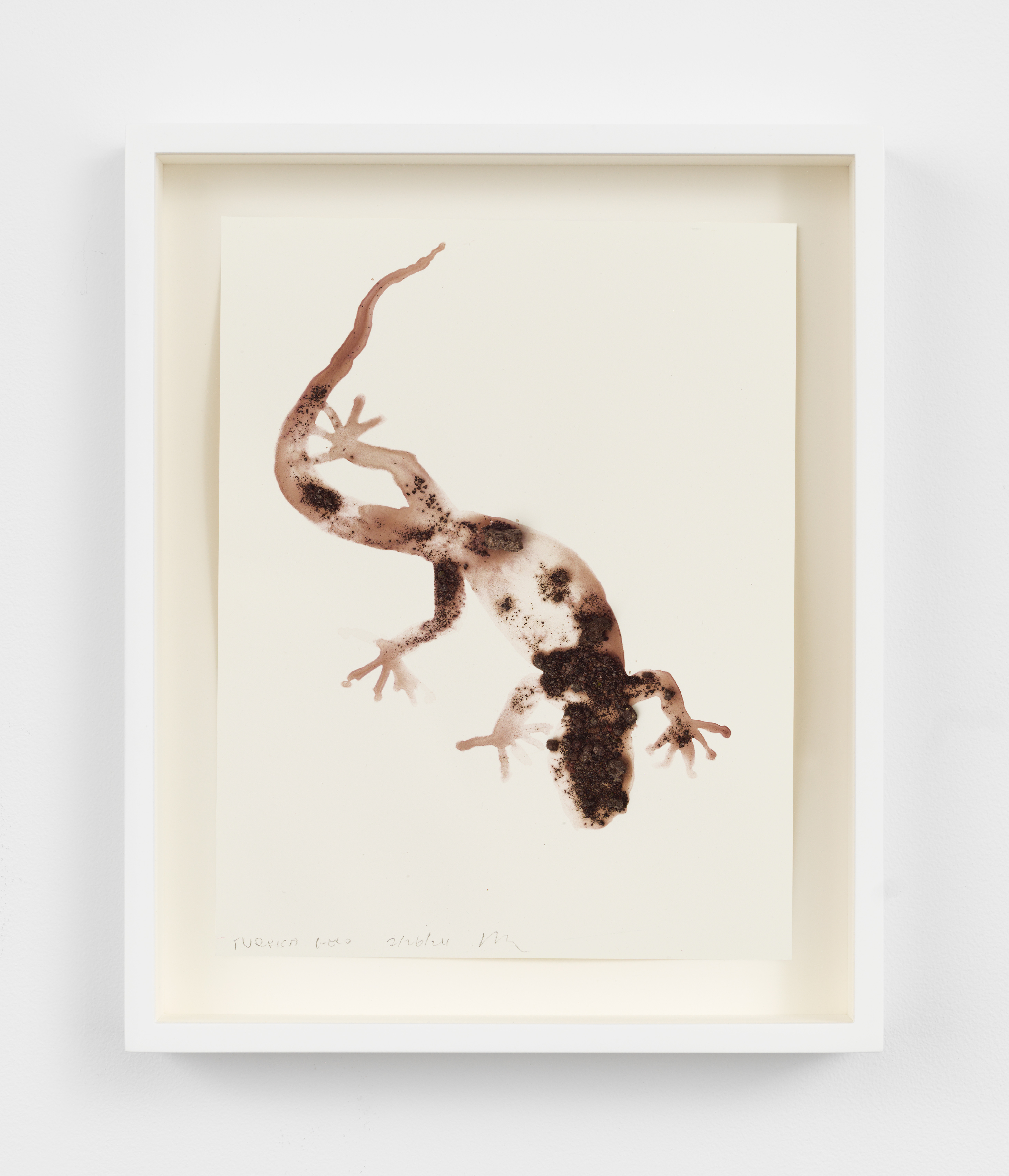 Alexis Rockman, Turkish Gecko, Hemidactylus turcicus, 2024, Lava, molten rock and ash from Mt Vesuvius and acrylic polymer on paper, Unframed: 10 1/4 x 7 in., Framed: 12 1/2 x 9 1/2 in.