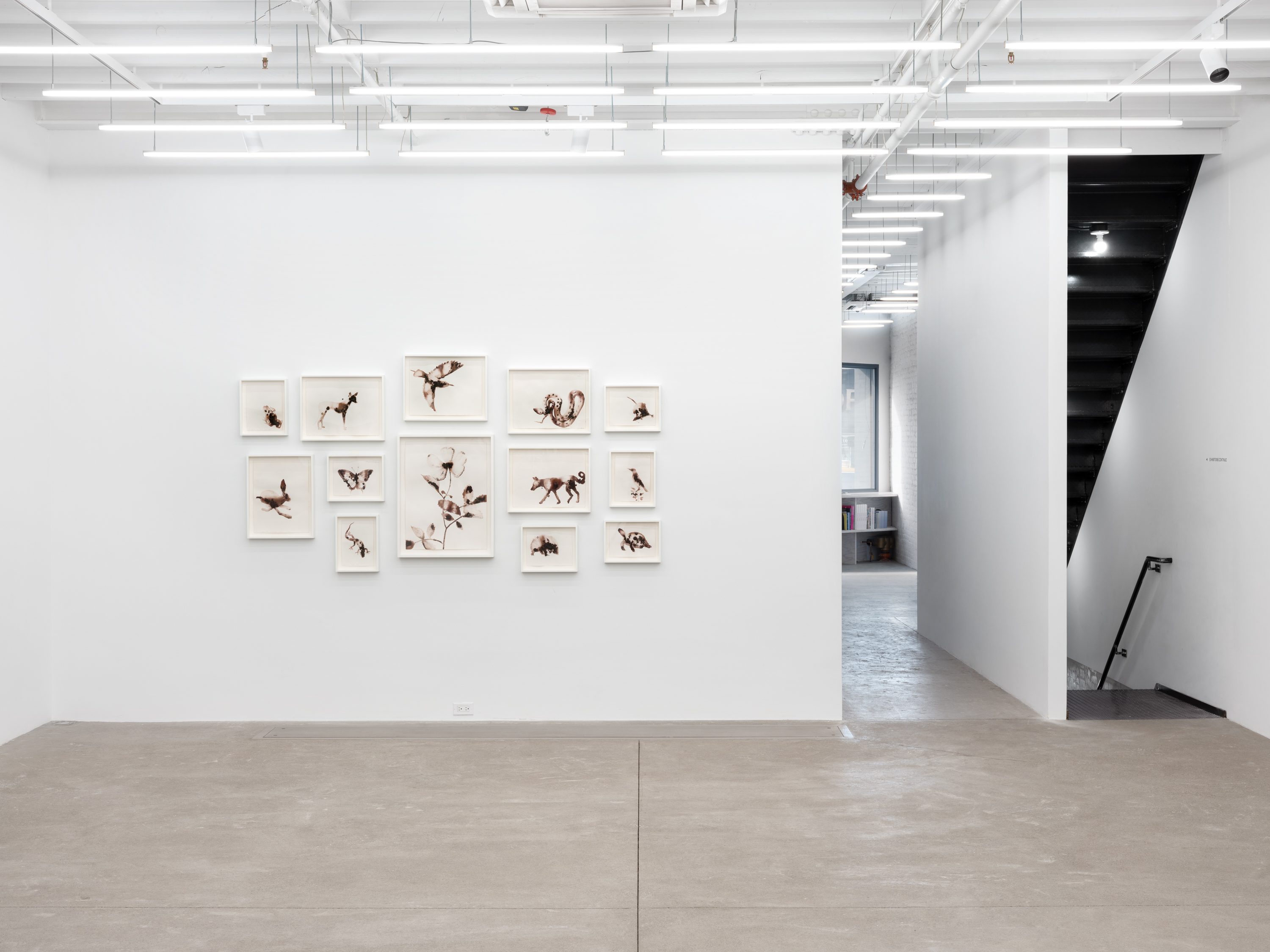 Installation view, Alexis Rockman: Naples: Course of Empire, Magenta Plains, New York, NY, 2024