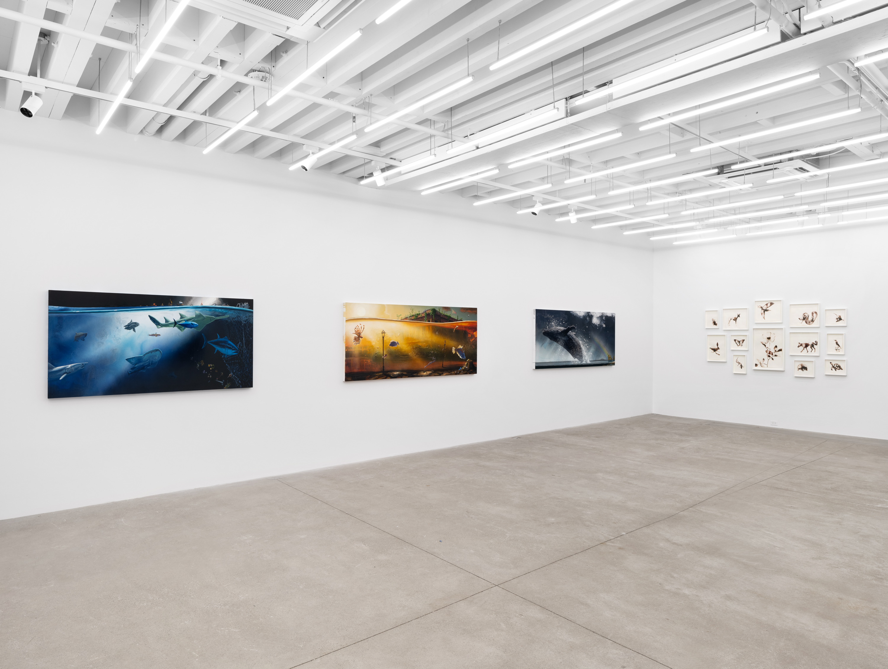 Installation view, Alexis Rockman: Naples: Course of Empire, Magenta Plains, New York, NY, 2024