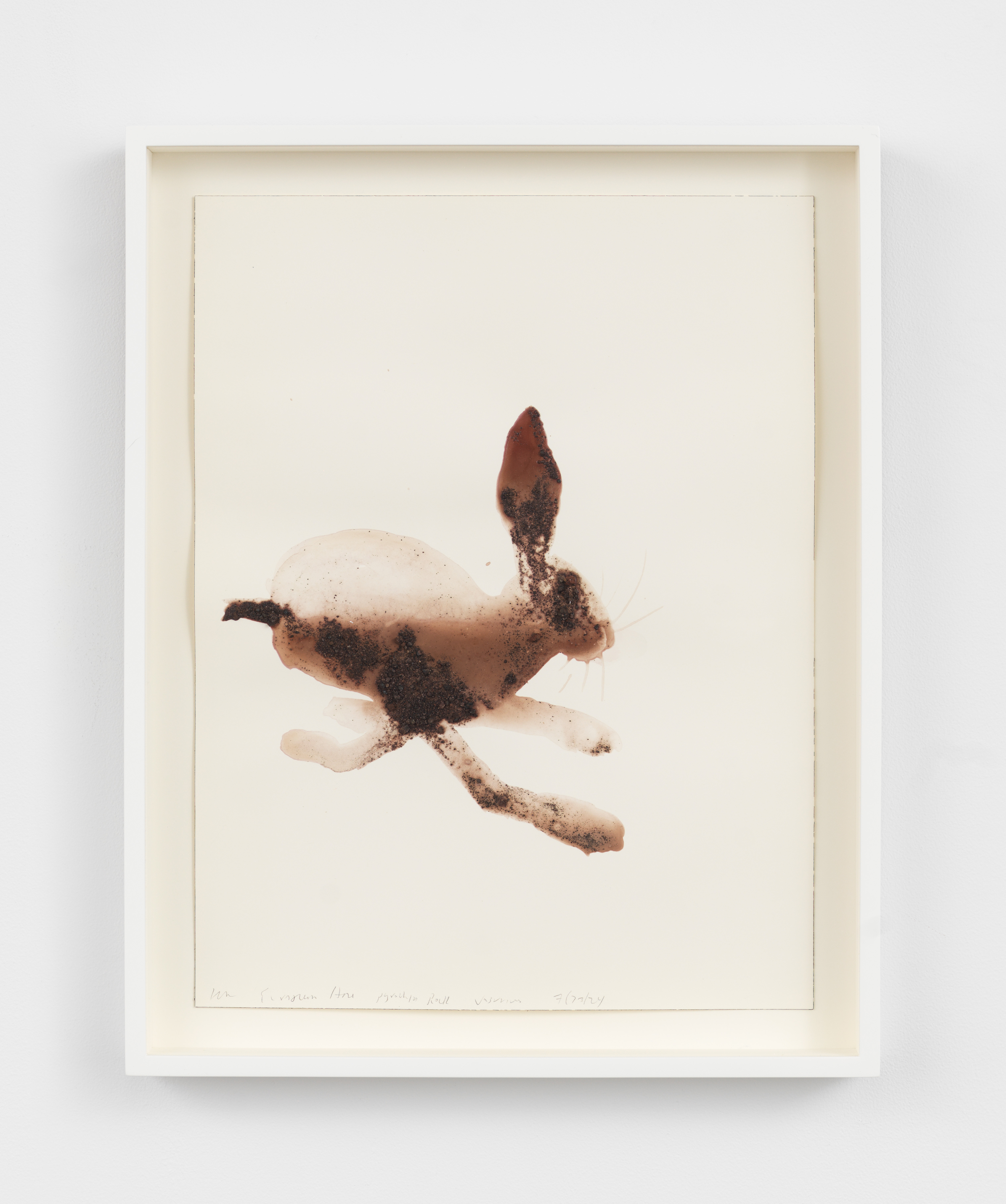 Alexis Rockman, European Hare, Lepus europaeus, 2024
Lava, molten rock and ash from Mt Vesuvius and acrylic polymer on paper, Unframed: 16 1/4 x 12 1/4 in., Framed: 18 1/2 x 14 1/2 in.