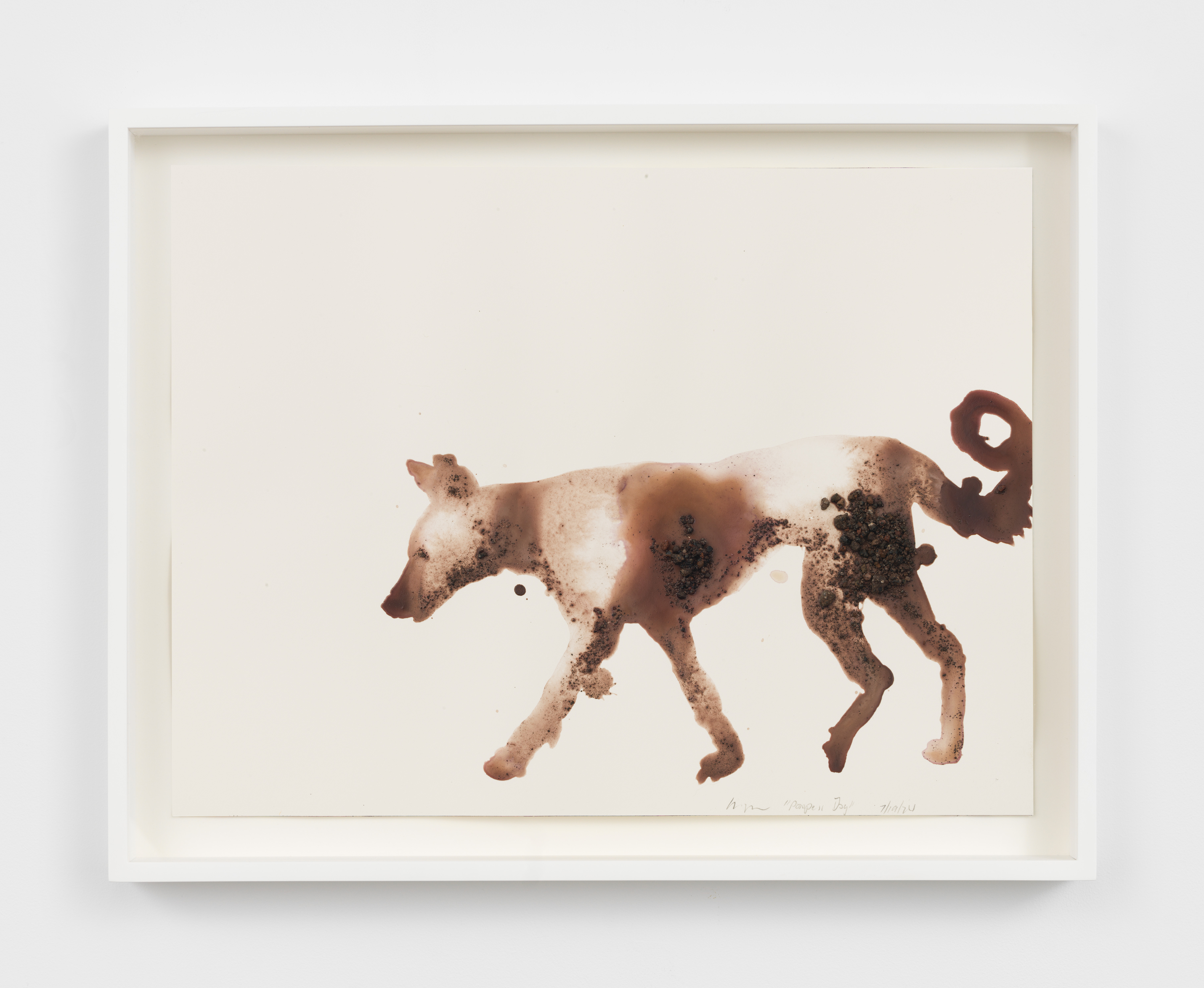 Alexis Rockman, Pompeii Dog, 2024, Lava, molten rock and ash from Mt Vesuvius and acrylic polymer on paper, Unframed: 12 1/4 x 16 1/4 in., Framed: 14 1/2 x 18 1/2 in.