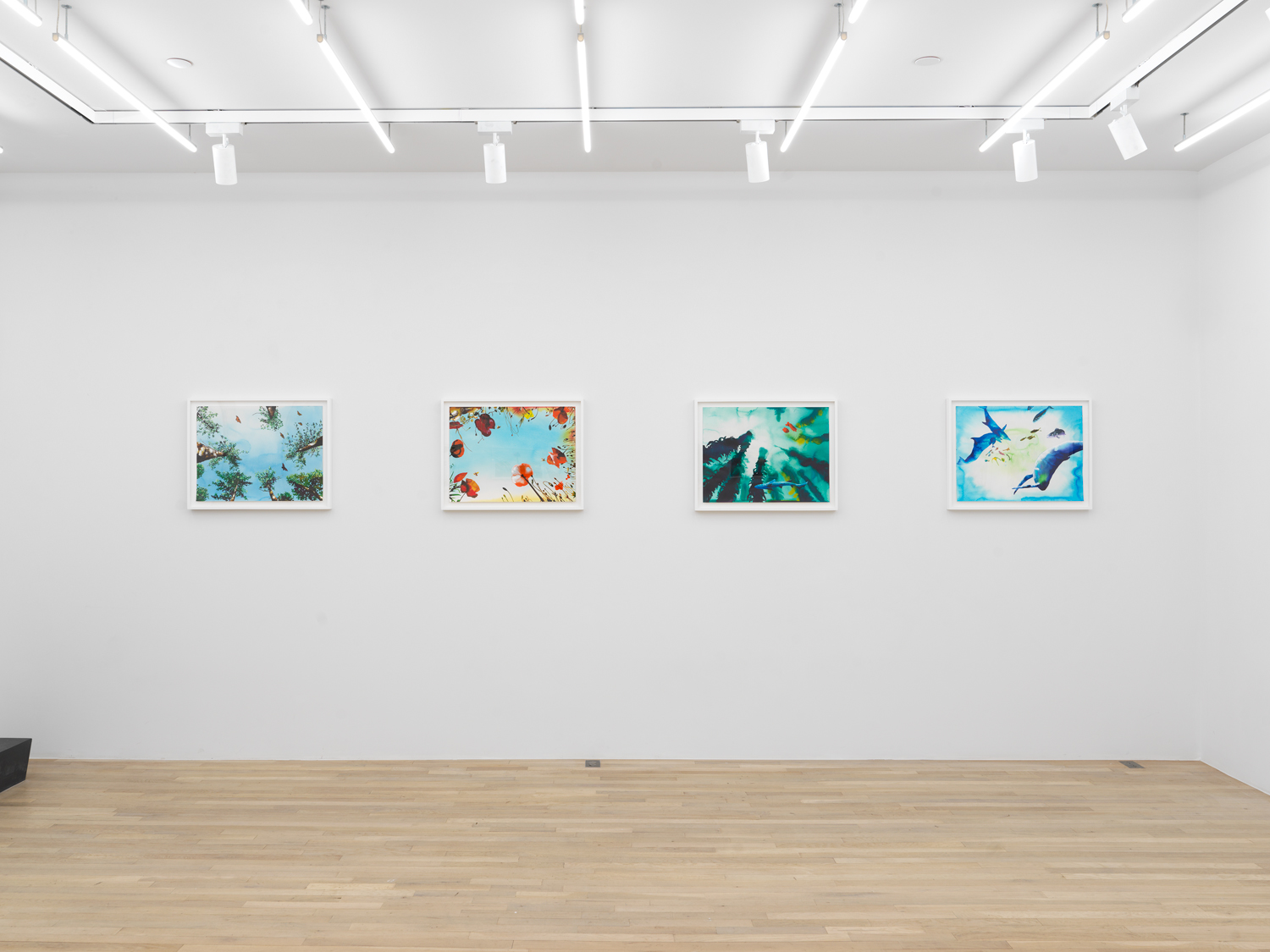 Installation view, Alexis Rockman: The Toxic Sublime, Magenta Plains, New York, NY 2024.