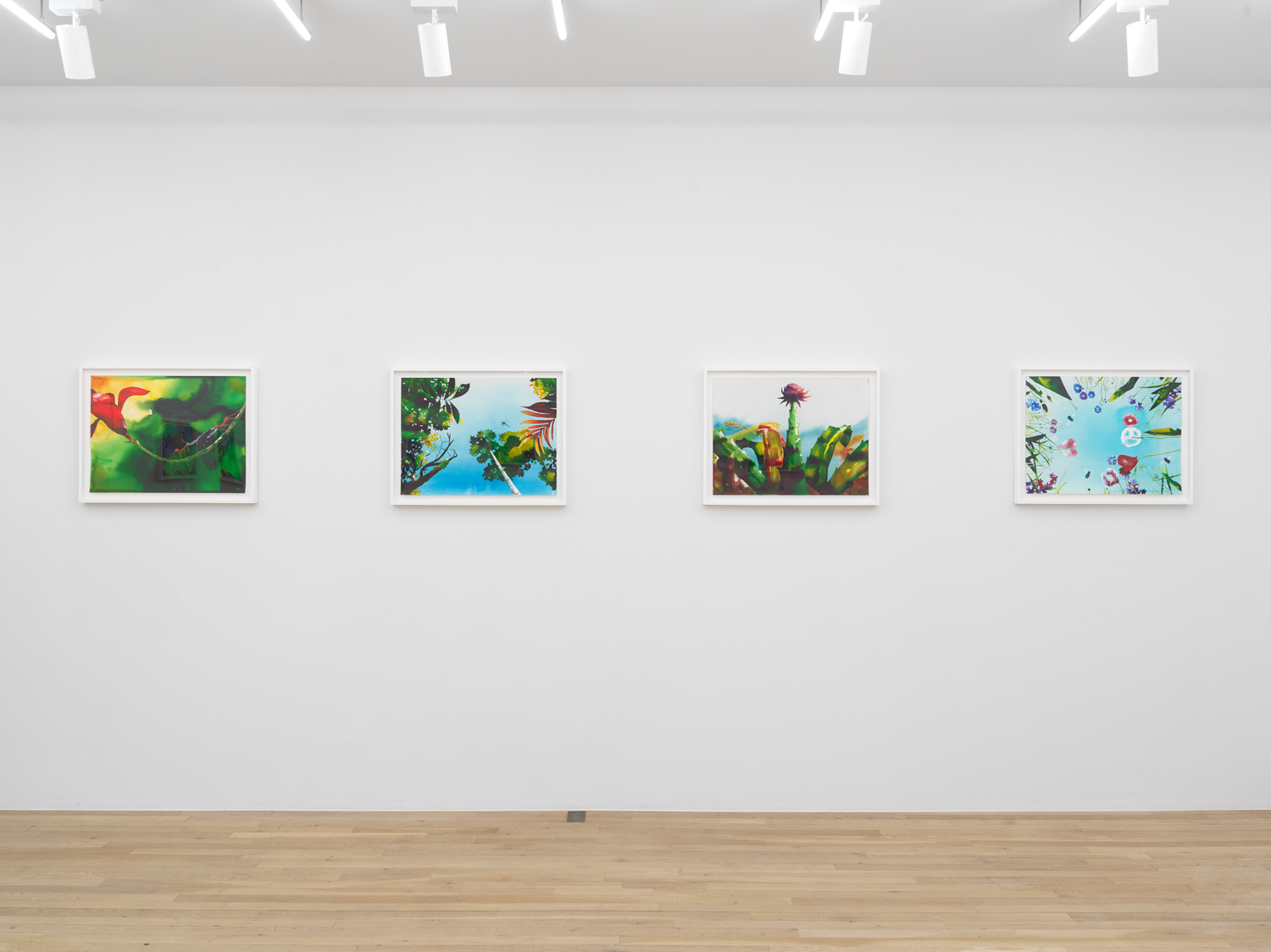 Installation view, Alexis Rockman: The Toxic Sublime, Magenta Plains, New York, NY 2024.