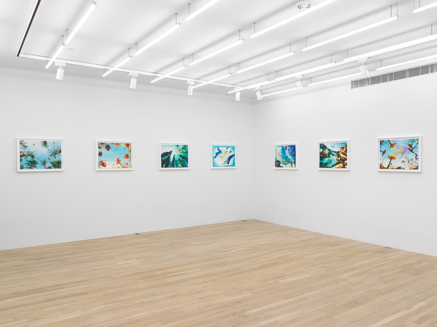 Installation view, Alexis Rockman: The Toxic Sublime, Magenta Plains, New York, NY 2024.