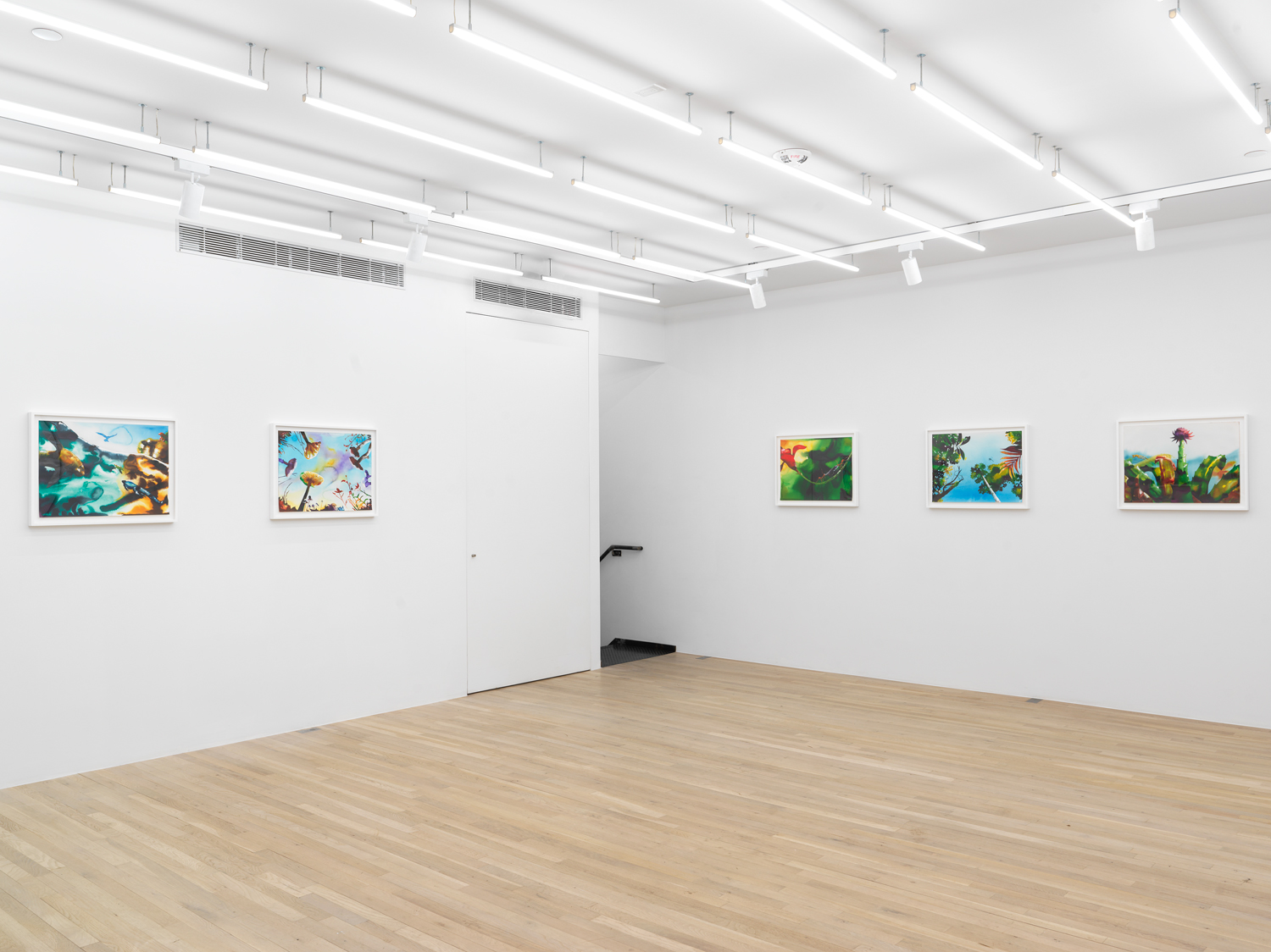 Installation view, Alexis Rockman: The Toxic Sublime, Magenta Plains, New York, NY 2024.