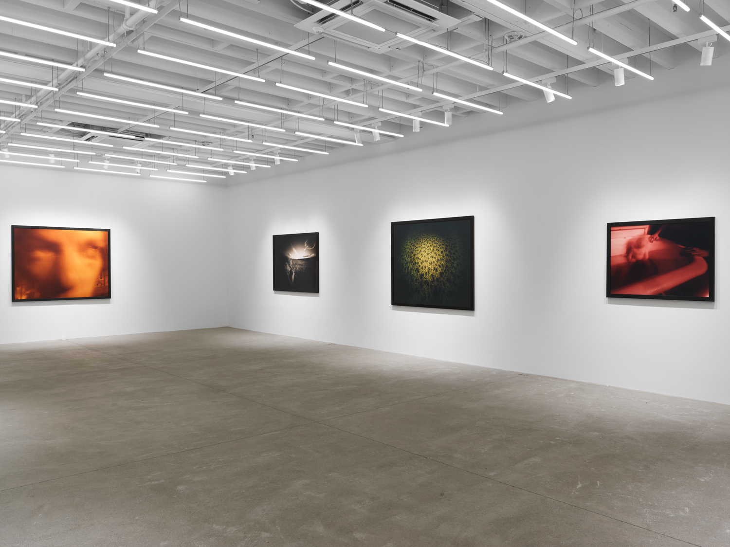 Installation view, Barbara Ess: Inside Out, Magenta Plains, New York, NY, 2023.
