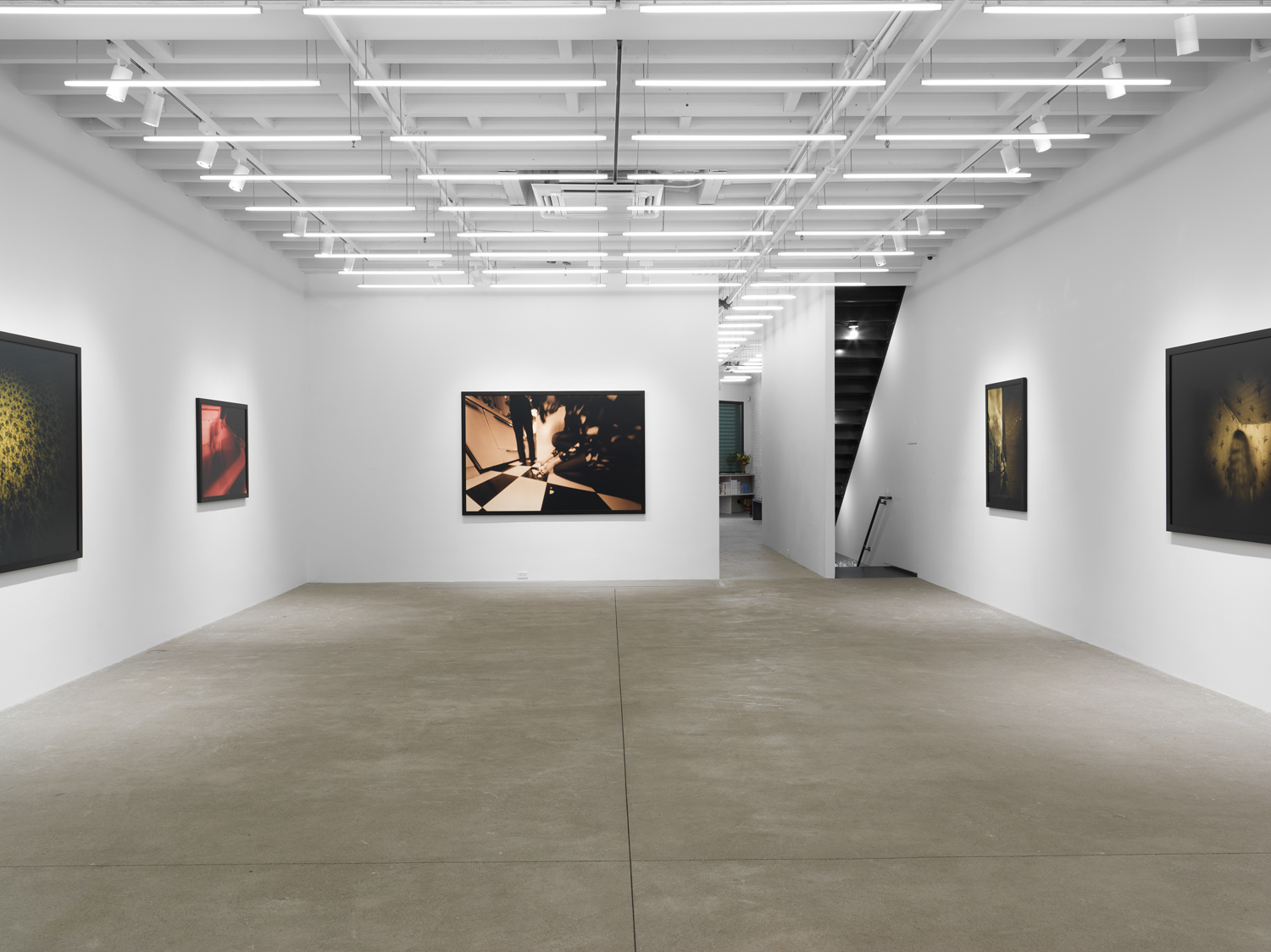 Installation view, Barbara Ess: Inside Out, Magenta Plains, New York, NY, 2023.