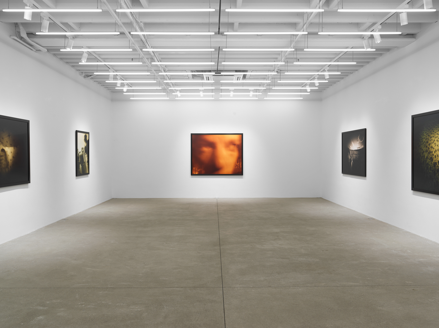 Installation view, Barbara Ess: Inside Out, Magenta Plains, New York, NY, 2023.