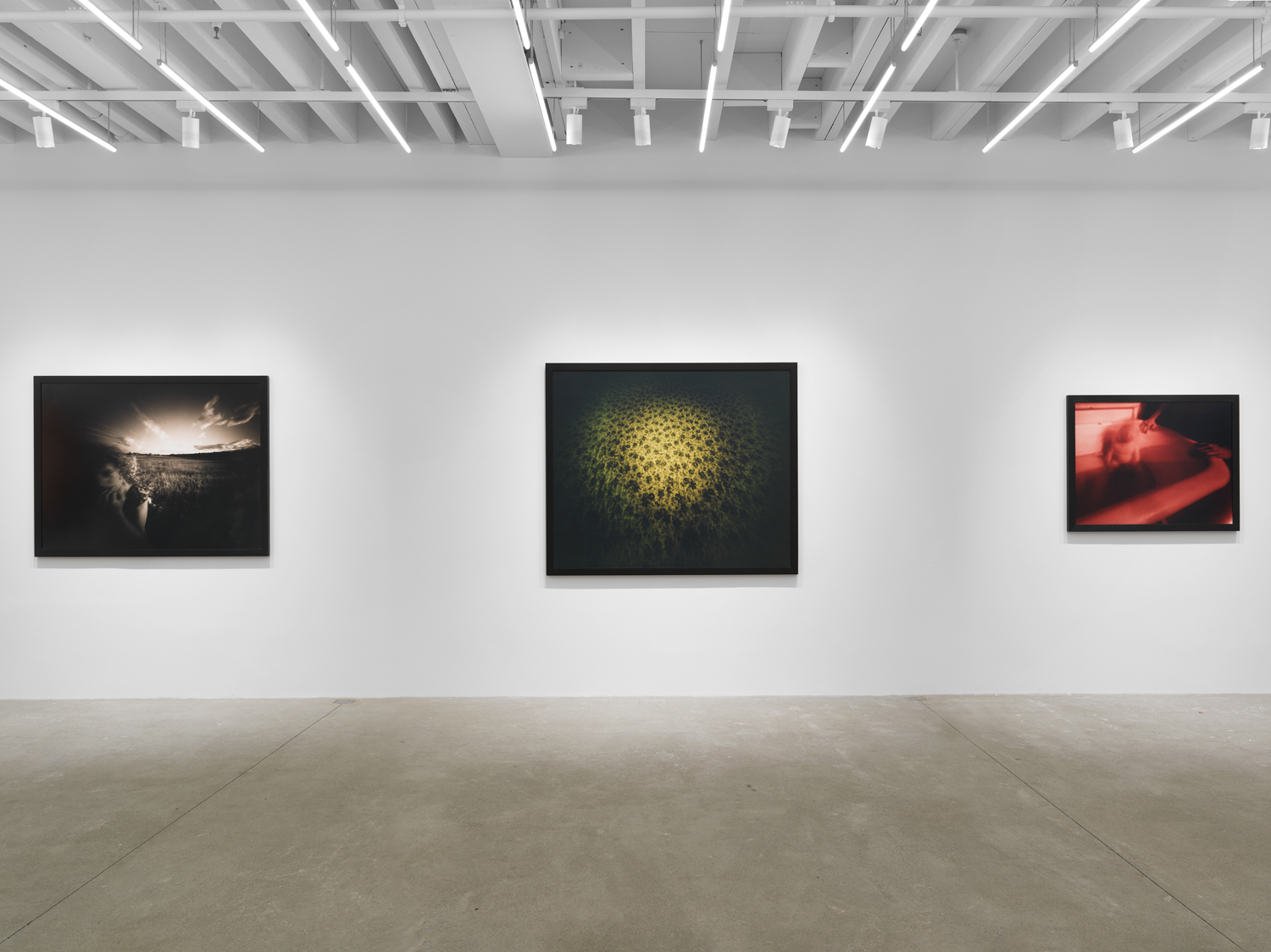 Installation view, Barbara Ess: Inside Out, Magenta Plains, New York, NY, 2023.