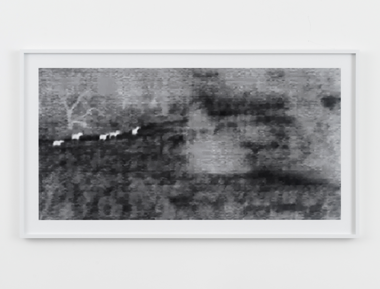 Barbara Ess, Wild Horses [Surveillance Series], 2010, archival pigment print, 24h x 44w in.