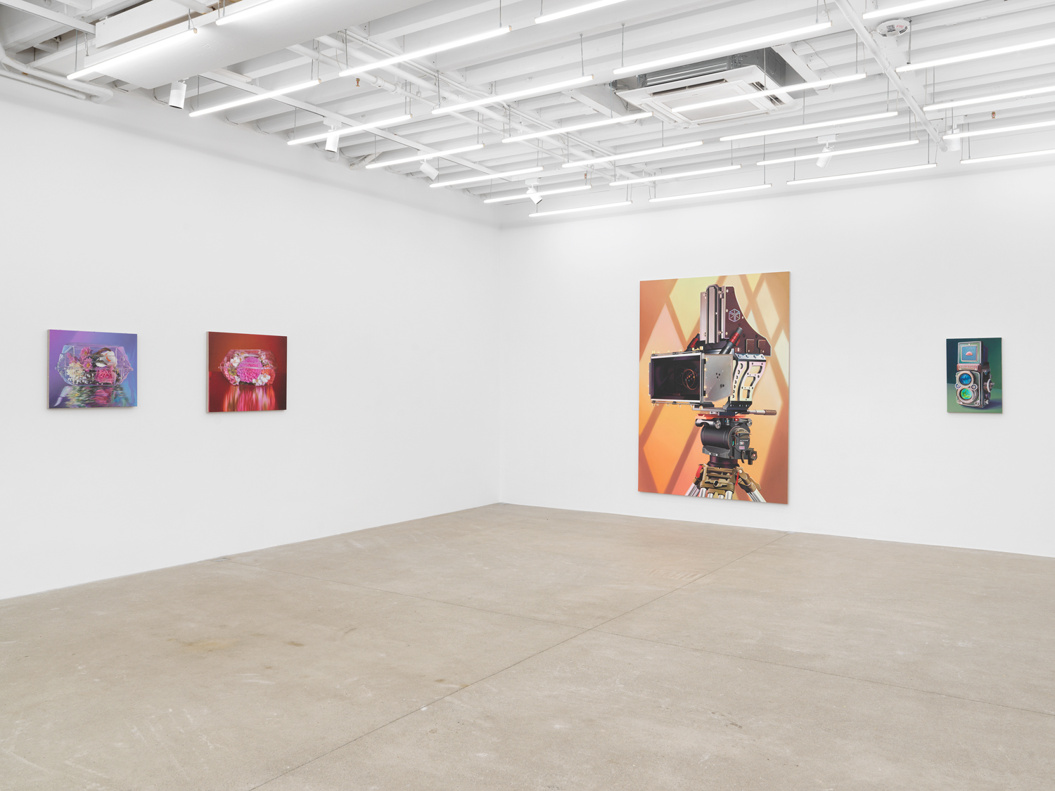 Installation view, Agape in the Spectrum, Magenta Plains, New York, NY, 2024