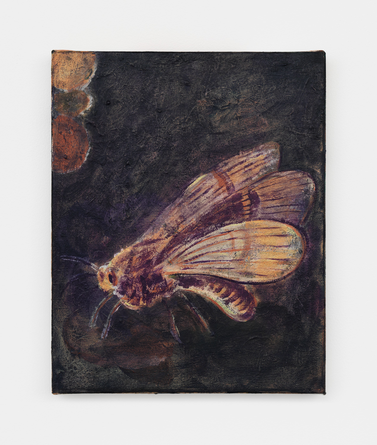 Zach Bruder, Lure, 2018, acrylic and flashe on canvas, 10h x 8w in.