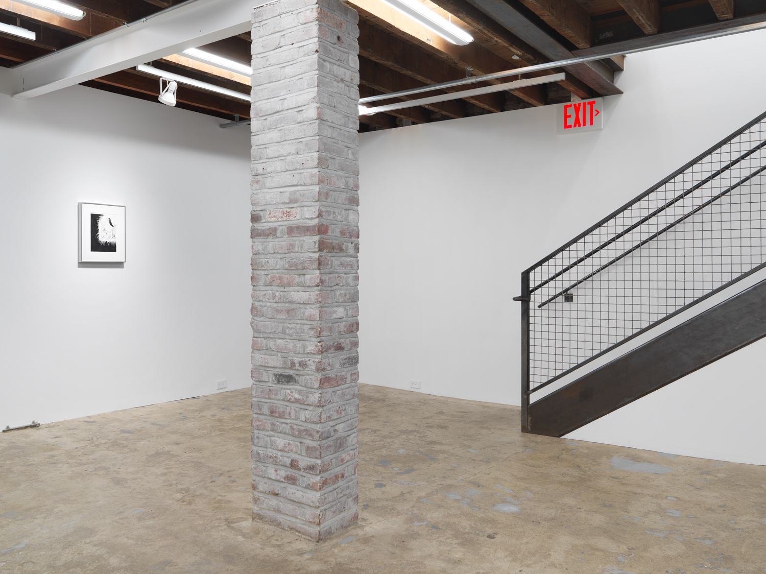 Installation view, TRAPS!, Magenta Plains, New York, NY, 2019