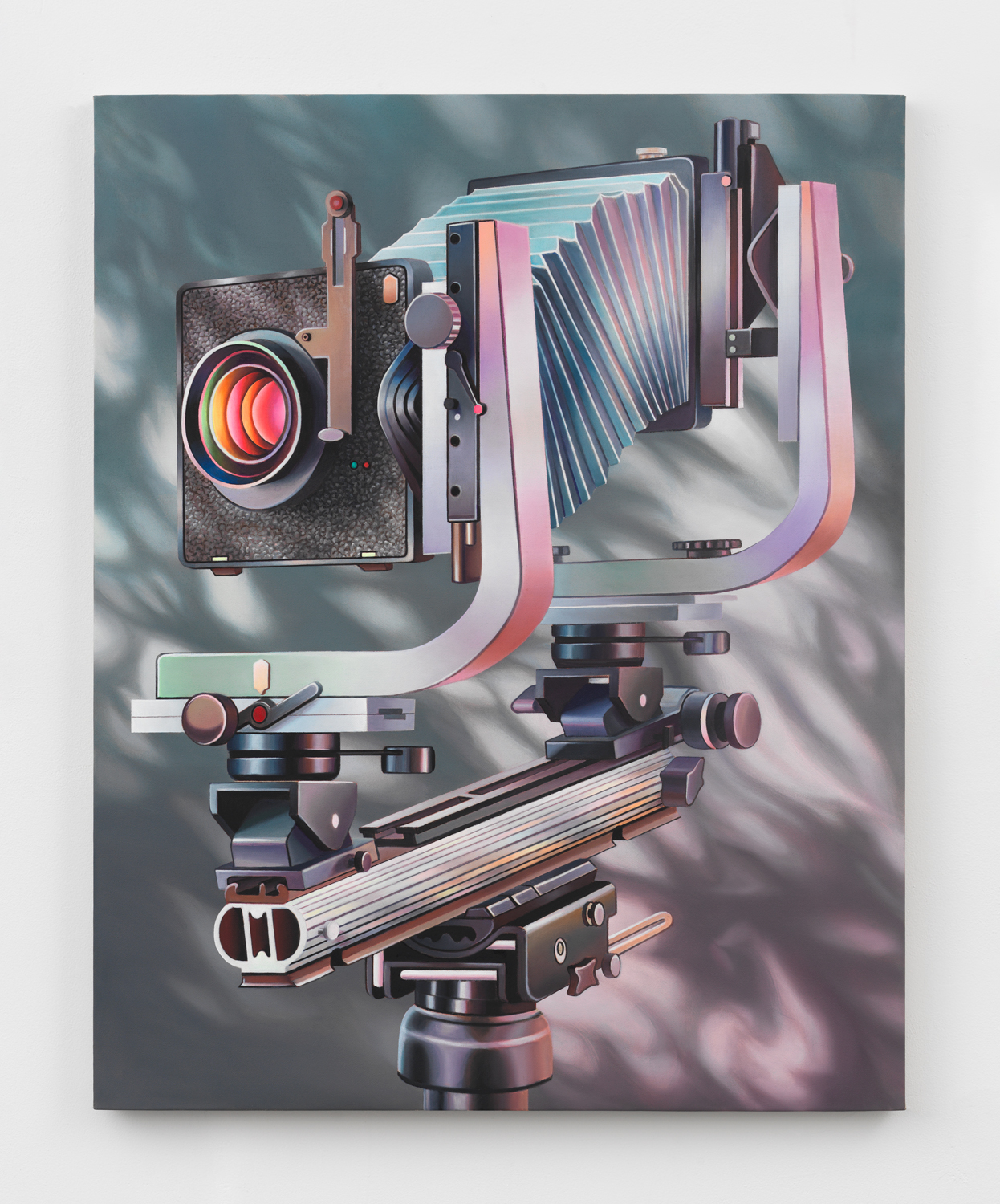 Chason Matthams, Camera w/ Dappled Light, 2024, Oil on linen, 40 x 32 in.