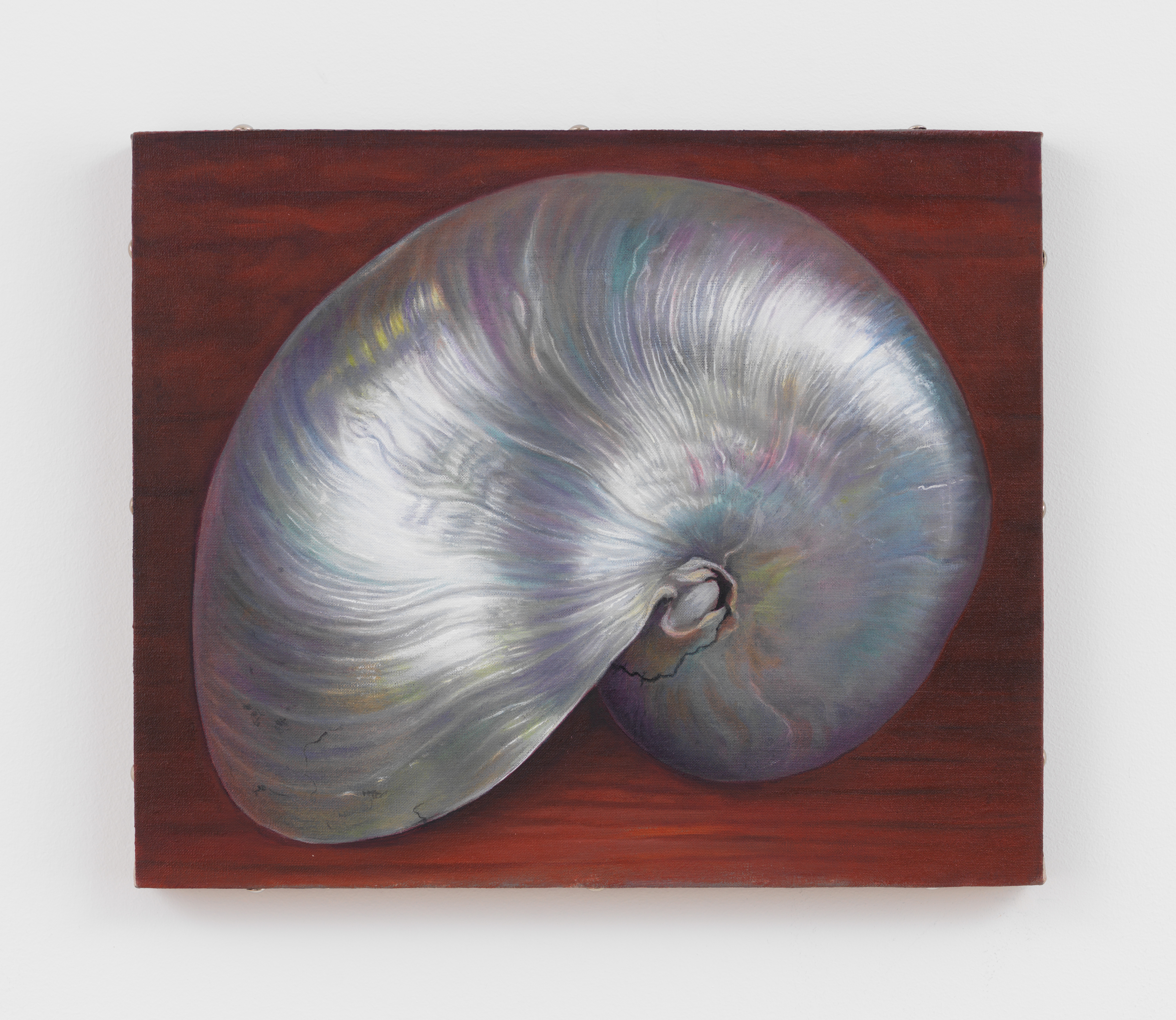 Chason Matthams, Red Nautilus Shell, 2024, Oil on linen over panel, 9 x 12 in.