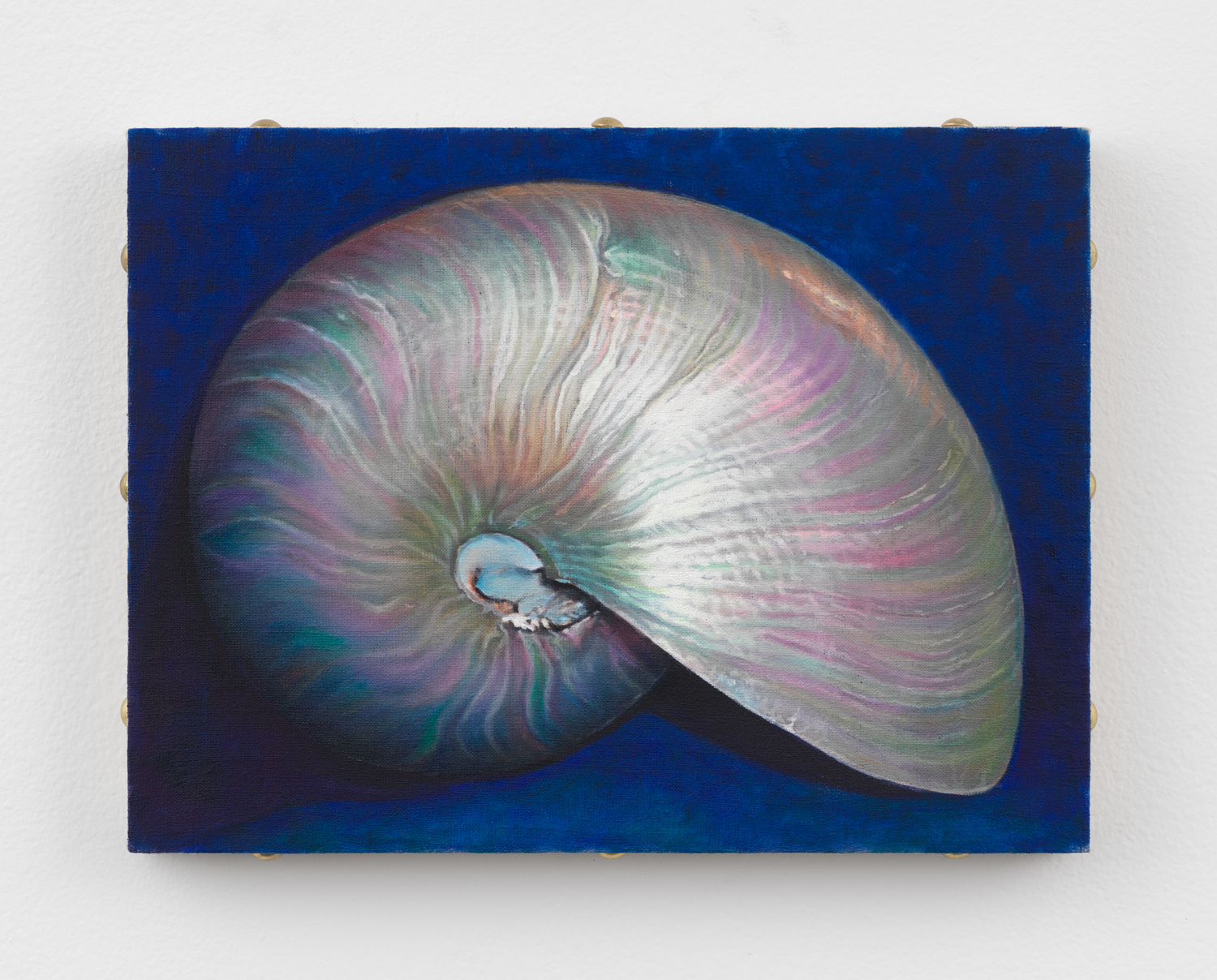 Chason Matthams, Blue Nautilus Shell, 2024, Oil on linen over panel, 9 x 12 in.