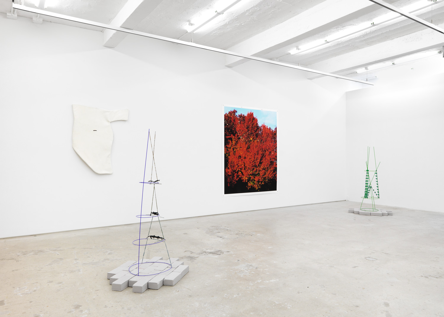 Installation view, Frame Structures, Magenta Plains, New York, NY, 2018