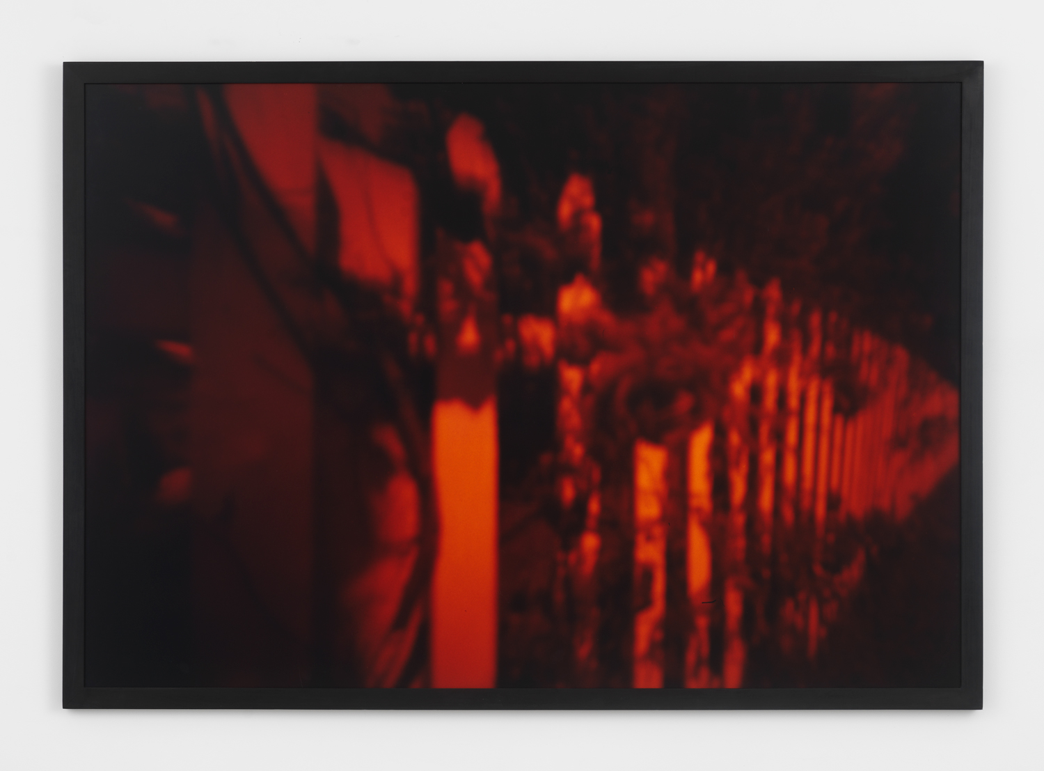 Barbara Ess, Roses, 1989, c-print, 50h x 73w in. Artist Print 2 from an Edition of 4 plus 2 Artist Prints.