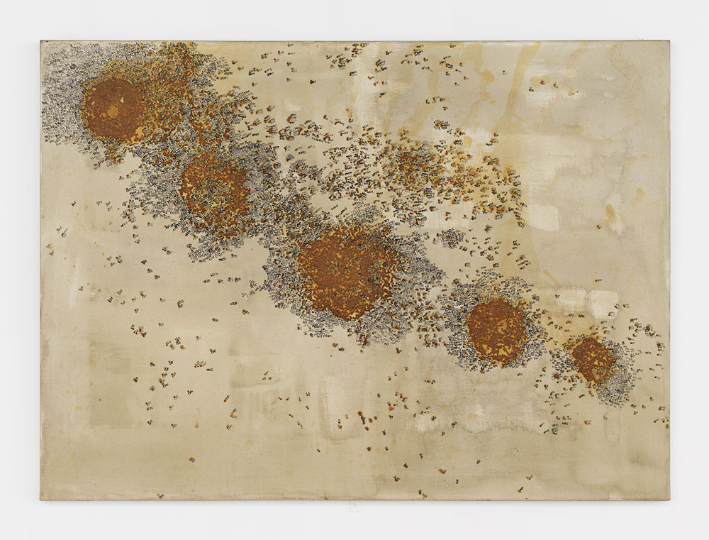 Georg Herold, Untitled (Caviar), 1990, caviar, lacquer, ink on canvas, 31.5h x 43.25w in.