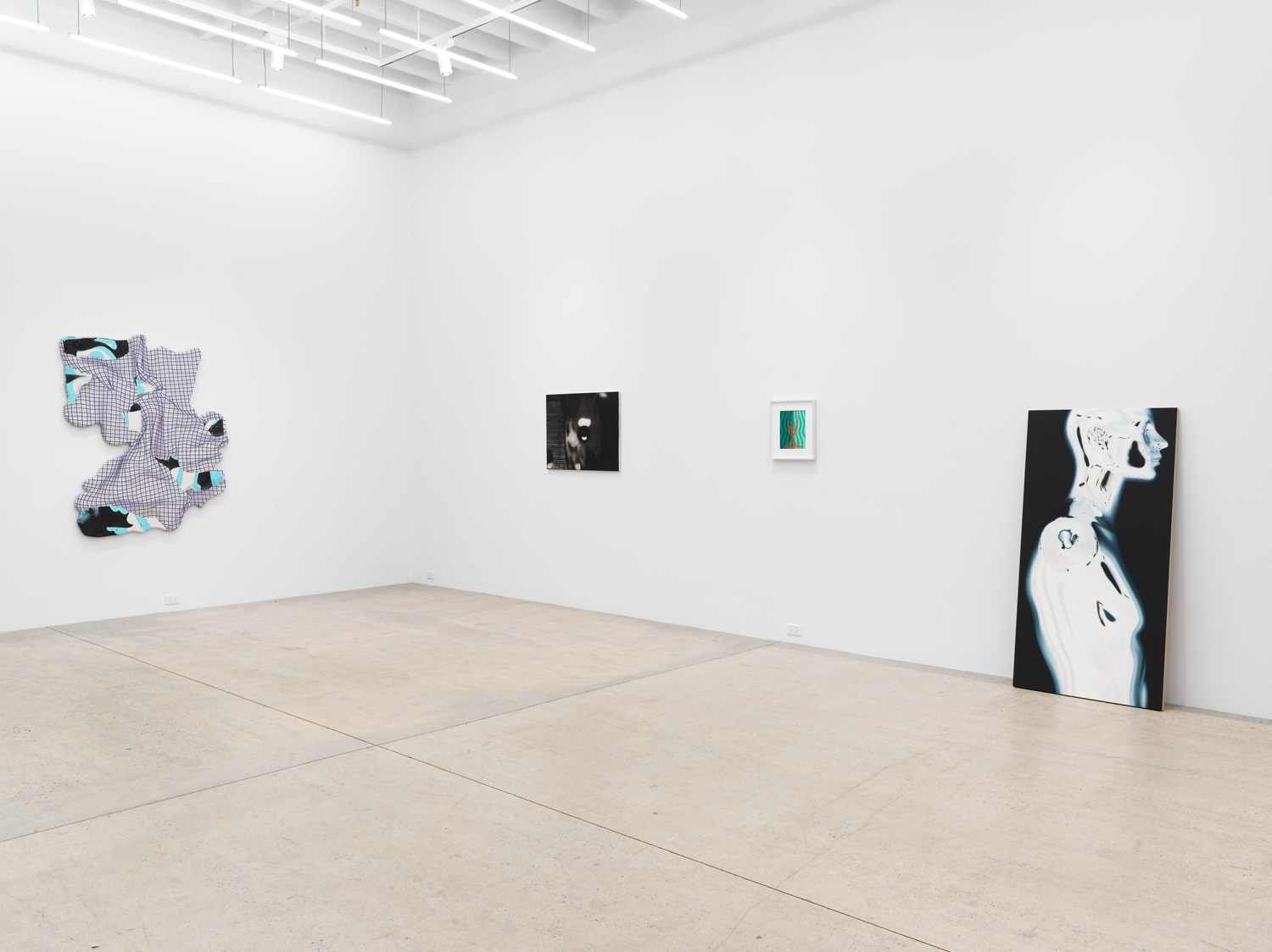 Installation view, Hypervision, Magenta Plains, New York, NY 2023.