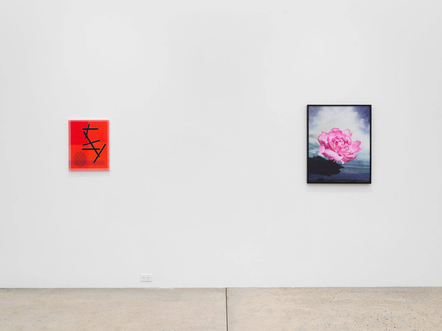 Installation view, Hypervision, Magenta Plains, New York, NY 2023.