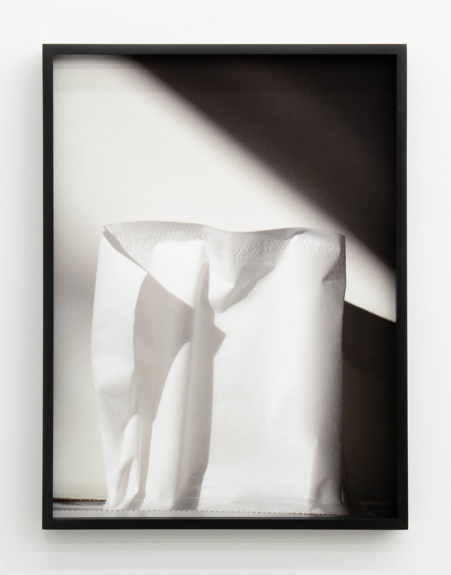 Jennifer Bolande, Monolith 3, 2023, Archival pigment print, 17 x 13 x 1.5 in