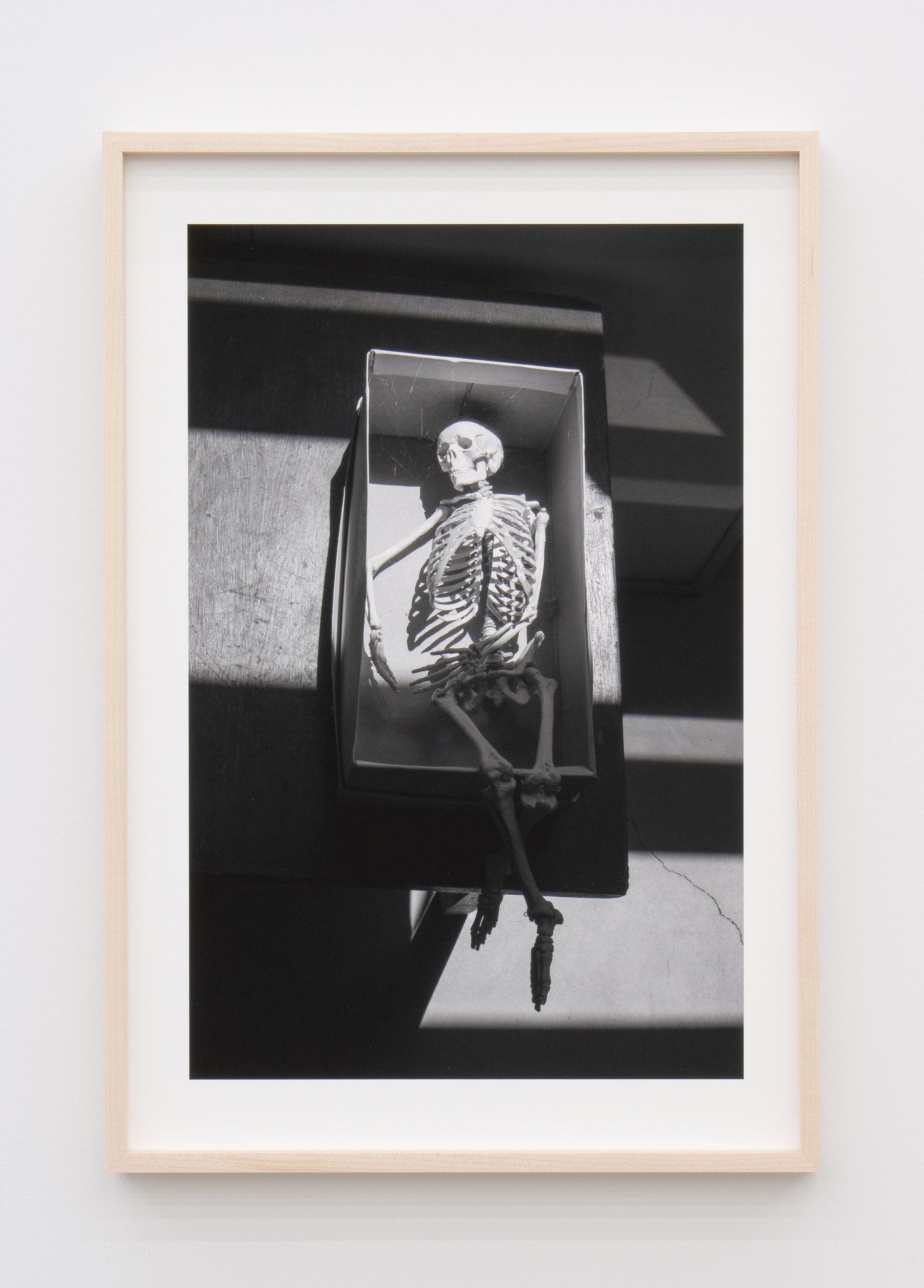 Jennifer Bolande, Skeleton in Shoebox, 2023, Archival pigment print, 19 x 13 in.